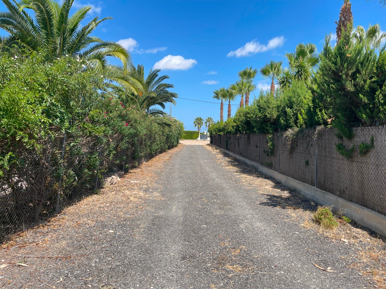 Property Description:A 110 m² house on a 2,500 m² plot, located in a quiet area with good access. The house includes three bedrooms, two bathrooms, a utility room, and a terrace, with plenty of natural light.The garden features palm trees and various fruit trees such as pomegranate, orange, lemon, fig, apple, and olive, along with several large plants providing shade and greenery.The property has a solar panel system for self-consumption and is also connected to the Iberdrola power grid, allowing both systems to operate independently.Sold furnished. Some renovations and updates are needed, but it has good potential as a permanent home, weekend getaway, or rural project.