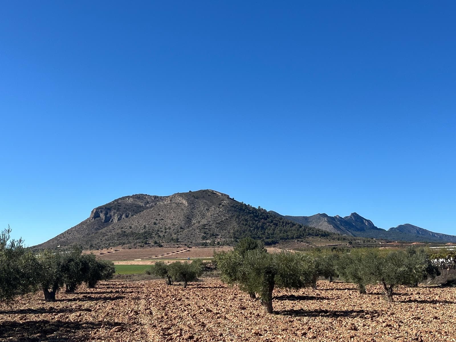 For sale: a 21,568 m² plot located in the peaceful and picturesque area of La Romana. The land is classified as rústica and is ideal for building a single-family home surrounded by nature.The plot is situated along the road known as Camino del Hondón, in the lower part of the route, with easy access via a rural, unpaved road. The terrain offers stunning mountain views, complete privacy, and an exceptionally favorable orientation that provides sunlight throughout the day.The parcel has access to essential utilities — water and electricity — which greatly facilitates starting construction without the need for additional connection costs.The plot is very well located, surrounded by other agricultural parcels and the natural landscape of the La Romana region, while still being within a short distance of Aspe and Hondón de las Nieves.La Romana is renowned for its pleasant microclimate and long-standing tradition of producing excellent regional wines. Those who choose to build a home in this location will be able to enjoy the exceptional climate of the area and savour the wonderful local wines that these lands offer