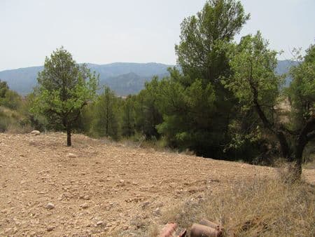 Overlooking the Espuna National Park, the plot is approximately 12 kilometeres from Pliego near Mula. The plot is set on a plateau of which there are three approximately 55,000 square metres set amongst Almond and Pine trees with stunning views to the mountains and valley. A septic tank has already been installed, water and electric can be connected nearby. Plot one has already been constructed with all main services. On our plot a caravan is presently on one as is a block built store which will remain on site. Please see within our photos one of the neighbouring properties that has already been constructed to the building size specified.