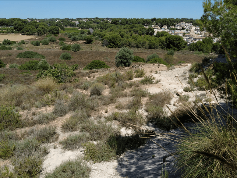 Rustic (according to the owner, non-sectorized developable, with the possibility of residential construction on plots of at least 10,000 m2 and special projects of general interest)