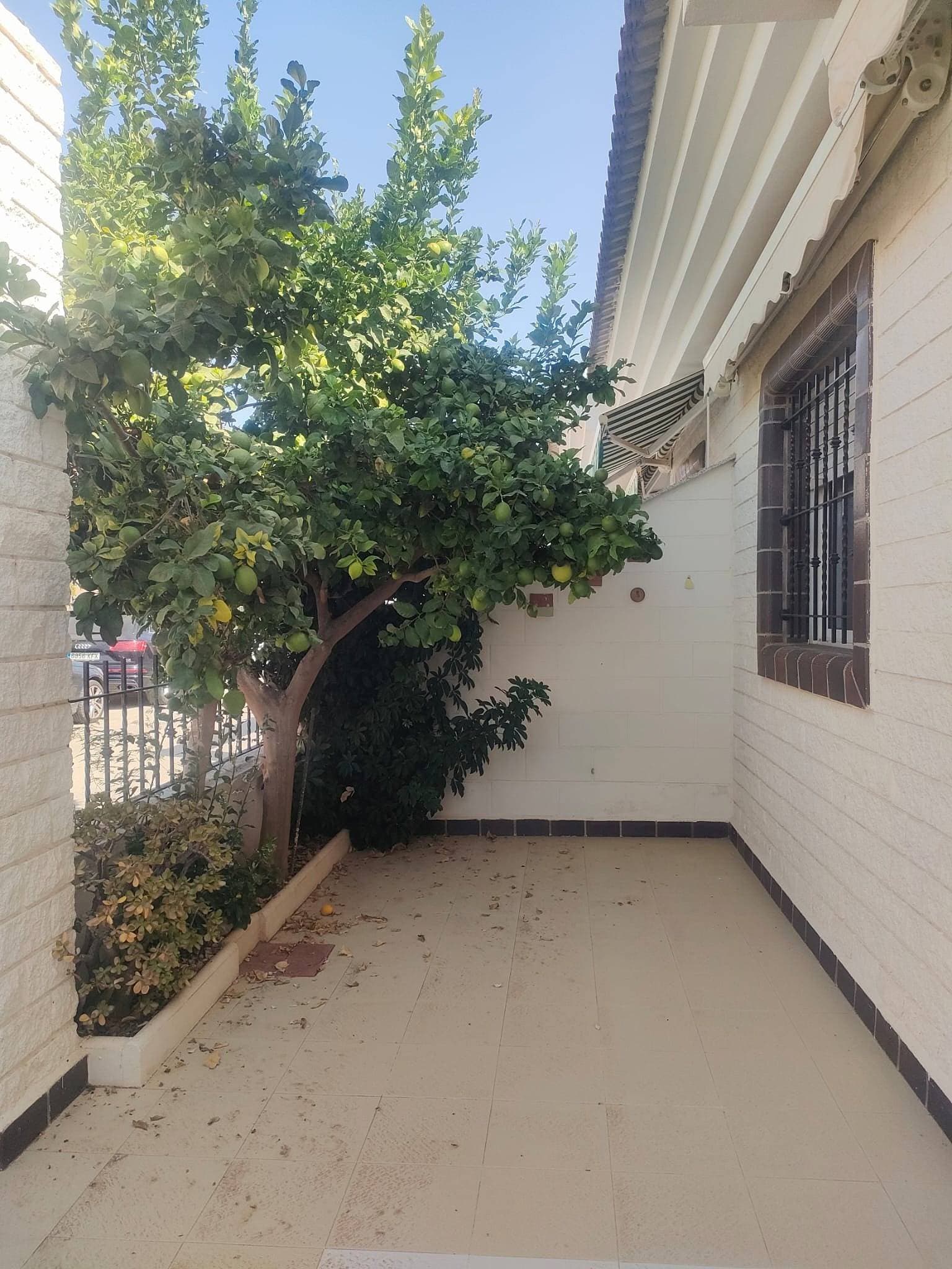 Lovely duplex in Pilar de la Horadada area La Torre de la Horadada, 400 m. from the beach. It consists of 4 double bedrooms, with an attic room that you can enable for an office or another room, even a playroom if you have a family. This magnificent property is ready to move in, with its equipped kitchen. It has a terrace both outside and an interior patio and a balcony where you can sunbathe upstairs. Some extras: water, air conditioning, fitted closets, balcony, bright, furniture, patio, TV, terrace, buses, trees, shopping centers, parks, supermarkets and playgrounds. Come and visit it and enjoy your place of residence on the beach for the whole year in a unique area!!! Translated with DeepL.com (free version)