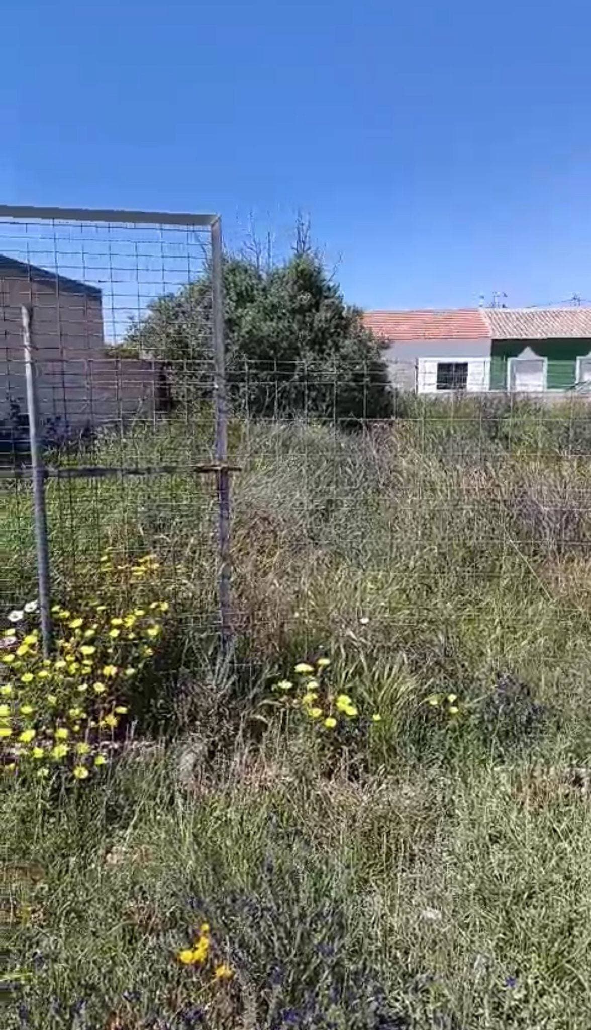 A magnificent urbanizable plot of 425 m² for sale in one of the most promising areas of San Pedro del Pinatar: Las Beatas. A privileged location that combines peace, convenience, and connection to everything you need to live or invest successfully. This plot is ideal both for building the home of your dreams and for developing a residential project, thanks to its excellent surroundings and nearby services. It has water access, is located in a high-traffic area, and is surrounded by all kinds of amenities: buses, supermarkets, parks, schools, medical centers, hospitals, shopping centers, and much more. Its proximity to the coast makes it a perfect option for those seeking quality of life and well-being. With open views and a central location, this plot represents a unique opportunity to invest in a growing area, well connected, and with high added value. 💡 A plot with soul, in a place where the future begins today.