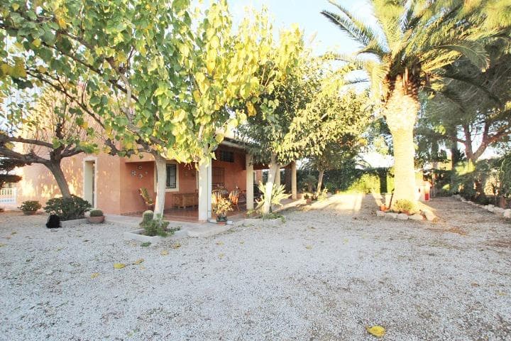 Hello! If you are looking for a place to live surrounded by nature and tranquillity, this house in the heart of the orchard of the Vega Baja could be just what you need. Imagine waking up every morning to the sound of birdsong and the scent of orange blossom in spring, all while enjoying spectacular views of the region's green lung and the Callosa and Orihuela mountain ranges. The property is perfectly preserved and has a beautiful garden full of palm trees, mulberry trees and exotic cactus. In addition, the large porch is ideal to relax and enjoy the good weather, either in spring or in summer. The 8 x 4 metre swimming pool will offer you a refreshing escape on hot days, and the storage room will allow you to keep everything in order. With part of the plot fenced off, you'll have space to park, store firewood or even grow your own vegetables and fruit trees. And best of all, you won't have any neighbours nearby! This guarantees you the peace and privacy you desire. Remember that the house has mains water and electricity, and all the documentation is in order. Just bear in mind that the price does not include taxes or purchase and sale management fees, and the photos are for reference only, as there may be slight modifications to the furnishings. If you are interested, do not hesitate to come and visit it, you will love it! This place has a bucolic atmosphere that will give you the inner peace you are looking for.