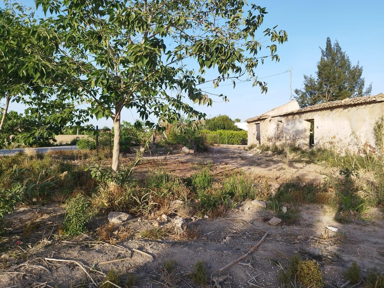 Bedrooms: 0, Bathrooms: 0, Land in Catral, Alicante, Spain