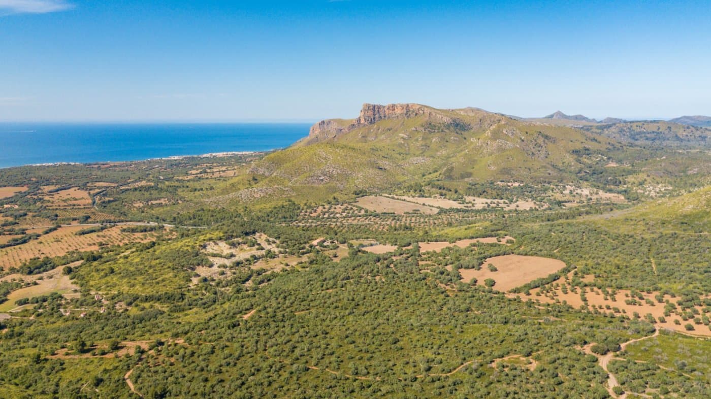 Located on the road that connects Artà and Alcúdia, this impressive Mallorcan estate is located in a beautiful valley that offers incredible views of the bay of Alcúdia from different points of the estate. The property includes a mountain peak, a hunting area, flat land for dry farming and fruit trees, and a wide variety of typical Mediterranean trees and shrubs such as holm oaks, pines and centuries-old olive trees.. . The property has a large area of land that includes dryland crops, irrigated orchards, timber pine forest, fig and almond tree crops, and an extensive area of pastures for cattle, sheep and wild goats. There is also an area for hunting large and small game.. . Several buildings for agricultural and livestock use, an old vaulted cistern and another large cistern with capacity for thousands of liters that supply water to the entire farm.. . The land area is 734 m² distributed over 2 floors, in need of renovation. On the ground floor we find two large entrance halls, two living-dining rooms with fireplace, two kitchens, several living rooms and spaces without specific use. The upper floor consists of seven large double bedrooms and three bathrooms. In the outdoor area we can enjoy two landscaped patios and two large garages with capacity for several vehicles.. . The property has a project for the renovation and construction of an agrotourism with about 20 double rooms, a swimming pool and two villas of approximately 200 m² each. There is also the possibility of building a swimming pool or other sports areas. The water tanker is large enough to be used as a helipad for two helicopters.. . This property is perfect for investors due to the large area of land the multiple development possibilities. It is also ideal for those seeking a haven of tranquility and privacy, as it takes more than 30 minutes by car to tour the entire estate. In addition, the existing livestock farm can continue.. . We are also builders and we offer information and advice to evaluate the different possibilities of renovation or new construction in this property.. . The taxes corresponding to the purchase and sale, as well as notary and property registration expenses, are not included in the price.. . This Mallorcan possession is a unique gem that combines the charm of tradition with extensive development possibilities, ideal for investors and nature lovers.