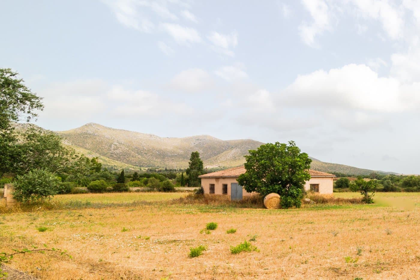 This set of three rural estates, with a total of 17.545 m², is strategically located near the Artá-Capdepera road, just behind Capdepera’s industrial estate. The property enjoys excellent accessibility and offers unobstructed views of the mountains and the picturesque village of Capdepera, providing a peaceful and natural environment.. . Estate 1:. Agricultural Warehouse: A building of approximately 140 m², equipped with a rainwater cistern.. Tool Shed: A small and old stone shed of about 25 m², ideal for storage.. . Estate 2:. Natural Water Well: Fully legal and functional, providing a reliable source of water.. Infrastructure:. The estates are partially enclosed with a block and masonry wall, ensuring security and clear property boundaries. The main entrance is built with “marés” stone, offering a solid and aesthetic access point.. . Estate 3:. Another of the estates includes storage facilities and porches built for agricultural use, around 250 m², fully registered.. The electrical connection is about 400 meters away, facilitating future connections to the grid.. The combined buildability of the three estates allows for the construction of a house with the following features:. . Construction Area: 262 m² on the ground floor.. Height: Option to add a first floor.. Swimming Pool: Approximately 30 m².. . Currently, there is a preliminary project to expand the existing construction, transforming it into a two-story house with garage and swimming pool. This project includes visual renderings showing what the house would look like once completed.. . These estates represent an excellent investment opportunity, both for agricultural use and residential development. The possibility of building a new house with pool and garage adds significant value to the property.. The price does not include the taxes related to the purchase of the property, nor notary and registry expenses.. We are builders and are available for any further information or to arrange a visit. If you would like to build a new house on this property, please contact us.