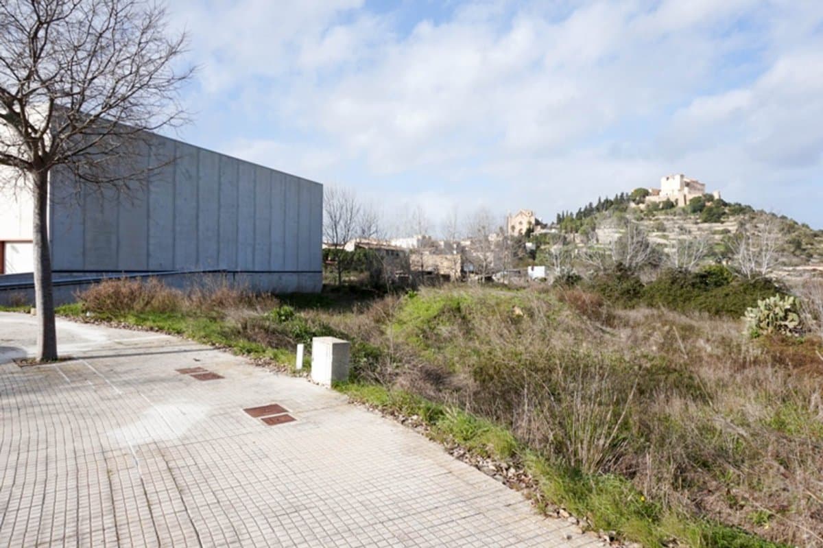 Located in the prosperous industrial estate of Artà, this urban plot offers a strategic location for any type of industrial business. The industrial estate is well connected to the main communication routes, facilitating access for transportation and logistics.. . The plot is intended for industrial use and offers a large surface area, ideal for the construction of an industrial warehouse. There is the possibility of building a warehouse for industrial use, optimized to meet storage, production or distribution needs. In addition, an outdoor parking can be available, facilitating access and parking for employees and visitors.. . The Artà industrial estate has a complete set of services, including electricity supply, thus guaranteeing the ability to support the energy needs of any industrial activity. The supply of drinking water is assured for daily use and industrial needs. Connections established for efficient waste management.. . Infrastructure prepared to support communication and connectivity needs.. . The Artà industrial estate is a dynamic and growing environment, with various companies already established, which fosters a collaborative environment and business opportunities. The location in the industrial estate facilitates the transportation of goods and products, with access to main routes that connect with other important areas of the region.. . This urban plot is ideal for companies looking to expand or establish themselves in a strategic location with all the necessary facilities for industrial development. The possibility of building an industrial warehouse with a large outdoor parking space maximizes the potential of the plot, adapting to various needs and projects.. . For more information and questions about this urban plot and our advice options for the development of your industrial project, do not hesitate to contact us. We are here to help you explore all the opportunities and make your vision a reality.