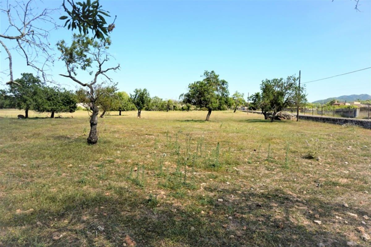 This extensive rustic property is strategically located on the Artà - Cañamel highway, less than 1 km from the picturesque town of Artà. Its location allows you to enjoy the tranquility of the countryside while maintaining convenient proximity to the services and community life of the town.. . The farm is a set of rustic plots of different sizes, offering a great diversity of landscapes and potential uses. The land is completely flat, which makes it easy to use and exploit.. Part of the land is used for agriculture, while other areas are oak forests. In addition, the farm has a wide variety of native trees from the islands, providing a natural and biodiverse environment.. . The property has an old sinia typical of Mallorca, a water well drilled into the ground, and an old mill with a large cistern. These features not only add historical and cultural value, but are also useful for water supply. On the property there is a large house in a state of ruin, which offers a unique opportunity to restore and customize according to the needs and desires of the buyer.. . The property has its own electricity with a meter, guaranteeing an independent energy supply.. Abundant water supply, essential for agriculture and any future development. A large part of the estate is protected, which ensures the conservation of the natural environment and limits unwanted urban developments.. . This large rustic property is ideal for those looking for a place with history and character, perfect for agricultural projects, restoration of old properties or simply to enjoy the natural beauty of Mallorca. The combination of agricultural land, forests and old buildings provides multiple opportunities to develop the estate according to individual preferences.. . For more information and questions about this rural property and our advice possibilities, do not hesitate to contact us. We are here to help you explore all the options and make your project a reality.