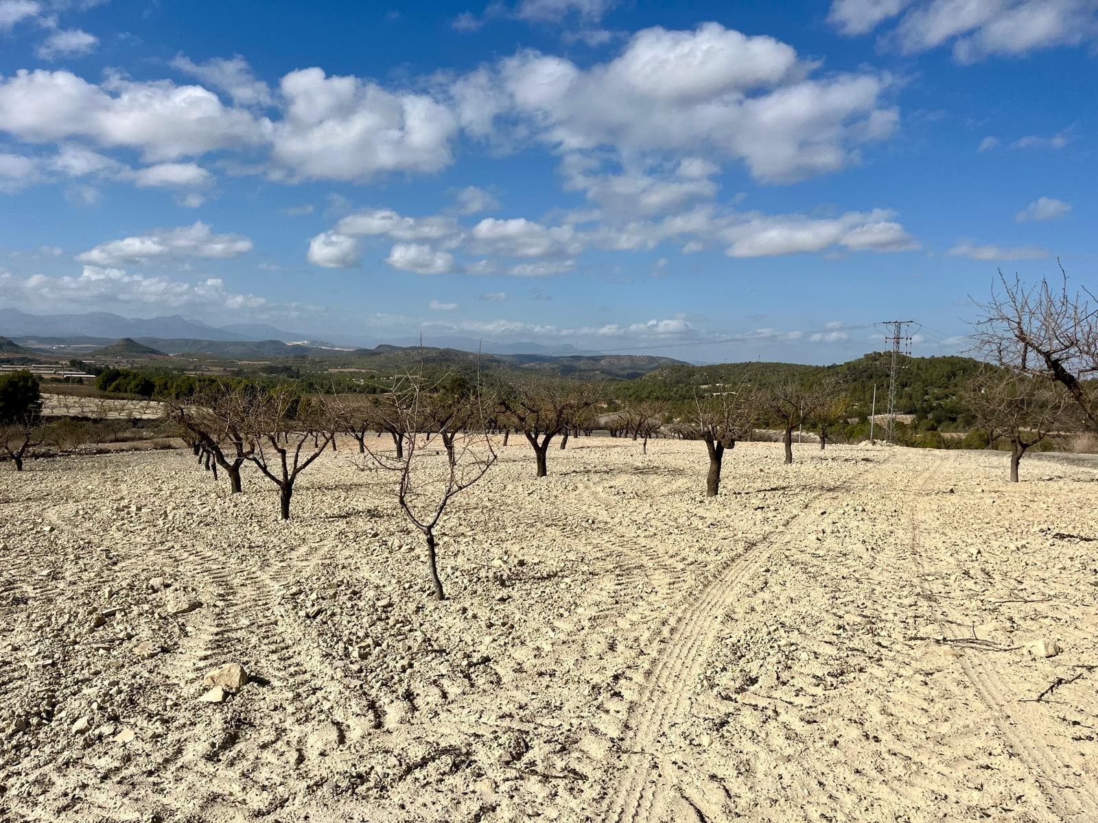 This exclusive plot of 71,641 m2 is located on La Copa de Bellas, the cycling paradise of Spain, 60 km from Murcia City! It is currently agricultural land, but an application was previously submitted for a permit as building land. Electricity is already provided on the plot. It is a very large beautiful plot located next to a nature reserve and with views over the mountains and fields with almond and lime trees. On the plots next to this land there are also fincas and a farm. The house that you can build can be up to 500m2! Privacy guaranteed and the views are amazing! The permit should therefore normally not be a problem, but the application must be resubmitted. Your gestor can easily help you with this. 

 Next to the land there is a large nature reserve. It is located 3.8 km from the village of Bullas where you can find all the necessary facilities such as restaurants, bodega, the Museo del vino and the beautiful nature reserve Salto Del Usero.

