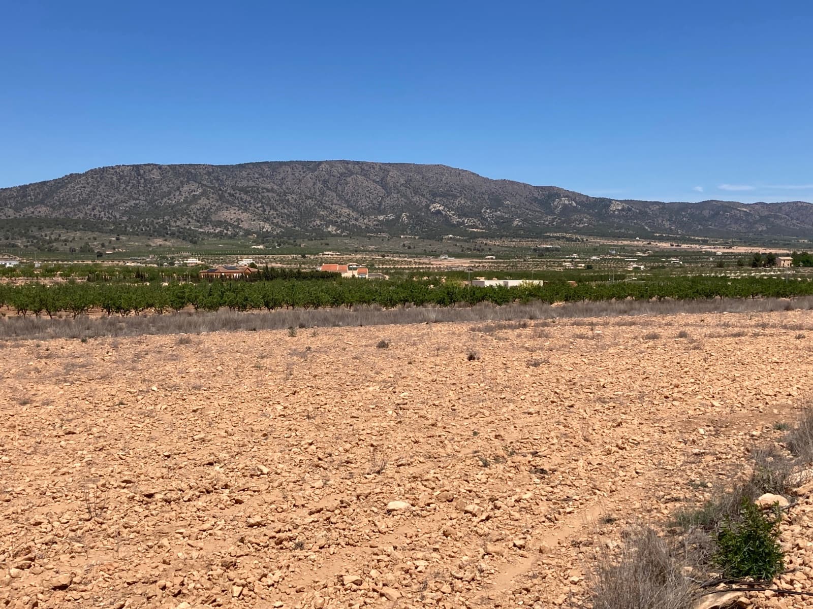 Attractive flat plot in Lel, near Pinoso. The plot is connected to water and electricity. Ideal for building a beautiful villa