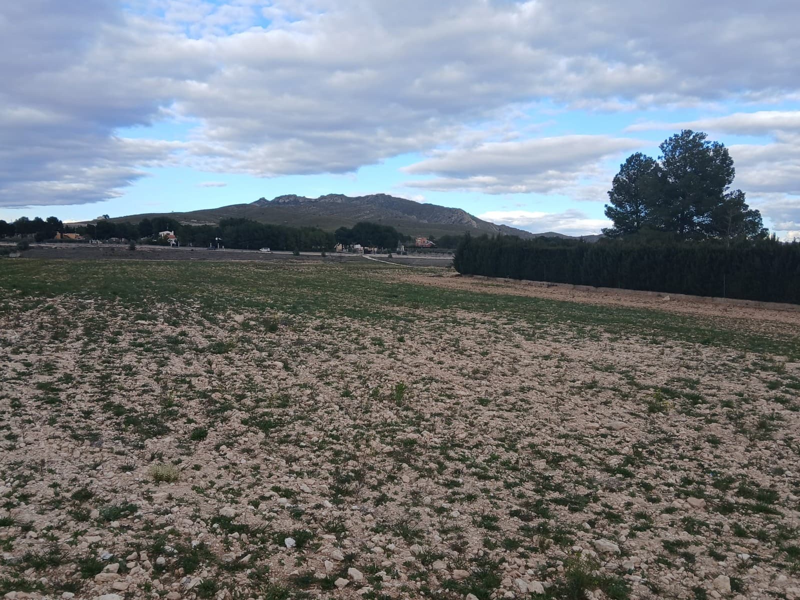 Building plot of 20.000 m2 in Yecla, nearby amenities with stunning views over the mountains. Water is currently shared with 2 other plots. There is no electricity but the connection is not too far away. The plot is accessable via the main road, but also via the back side.