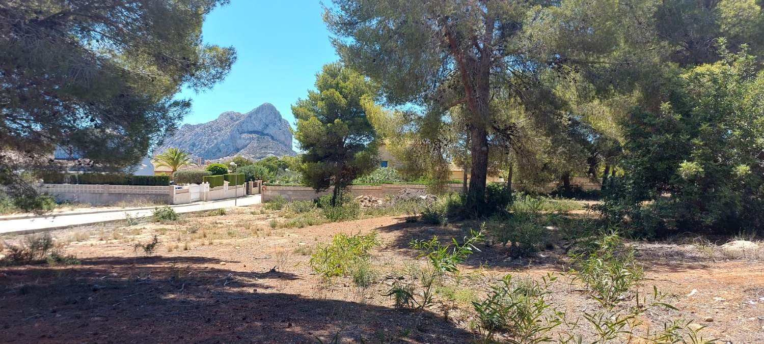 Flat urban plot of 849 m2 located in one of the best areas of Calpe.The beach in the photo is only 1,300 meters away.All types of services very close.Ask us for a visit without obligation!