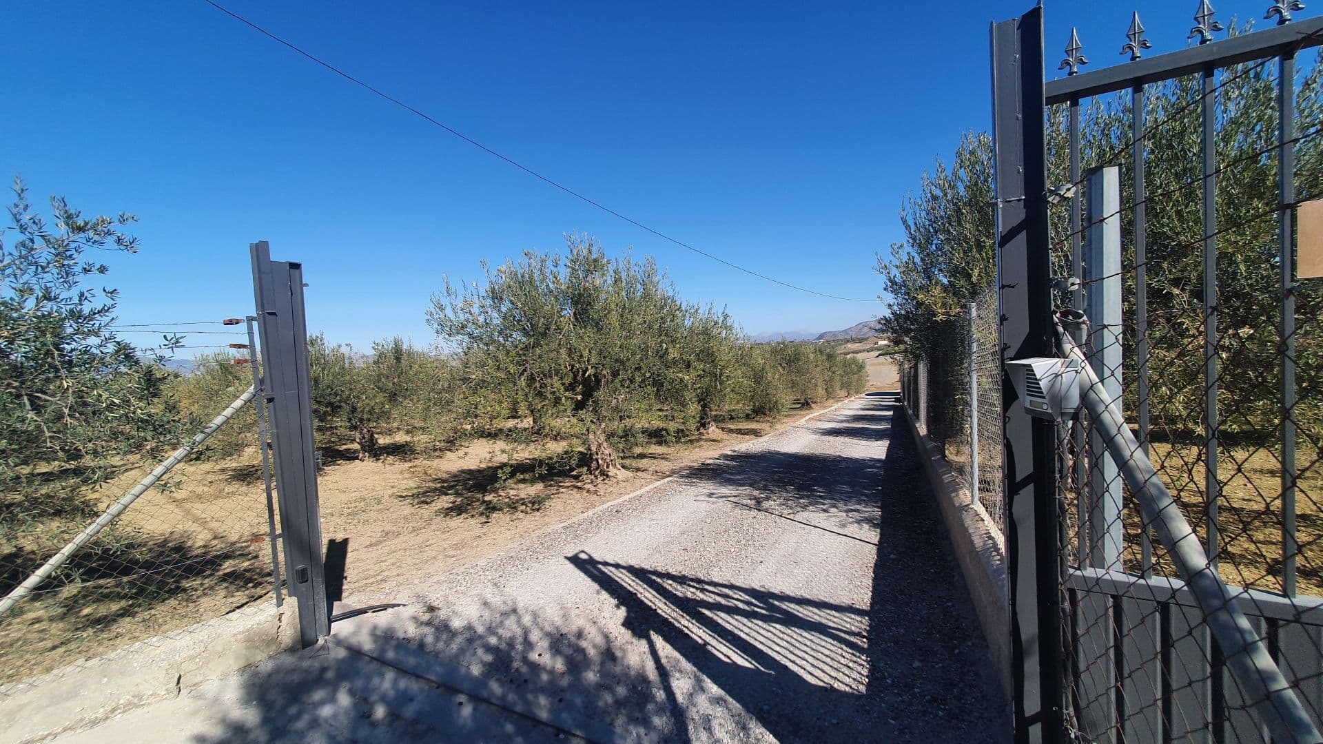 This beautiful plot of rustic land, measuring a generous 15,818m², is a unique opportunity for those looking for a large and versatile plot of land. The practically flat topography of the land facilitates any future project you may have in mind. Located in a quiet and serene environment, this land has an electrical connection point strategically located at the main entrance gate, making it easy to access electricity for any development you wish to carry out. In addition, it has access to water, with the possibility of easy connection to the municipal water network, as long as the corresponding permit is obtained from the Town Hall. A notable feature of this land is the possibility of building a generous size tool storage or agricultural warehouse of 160m². This option provides additional space for storage or agricultural activities, thus providing practical functionality to the land. Whether you dream of creating a rural retreat or establishing an agricultural project, this land offers the perfect canvas to bring your projects to life. It is not only a place of natural beauty, but also a space full of possibilities to turn your ideas into reality. Discover the infinite potential of this rustic land and make your dreams come true!