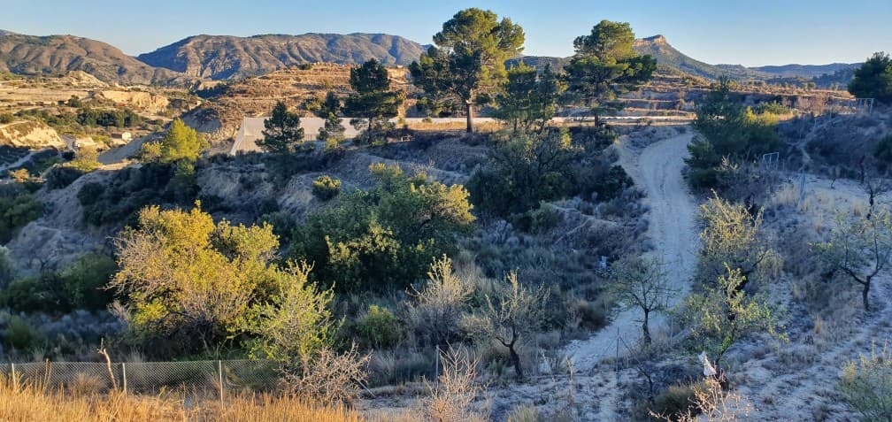 Land for sale in Relleu. Land for sale in Relleu, Foia del Riu.A rustic area, 35000m² with the right to build up to 3 independent houses, about 100 m² per floor for each of the houses. It has a large pond of 700,000 cubic meters on one of the plots. There is also a well and a lot of land with olive and almond trees. It has a cave house of 30 m² and there is a registered garage of 35 m². The land has been declared as ecological and it's the ideal site to set up a campsite or rural complex. 10 minutes by car from Relleu town, surrounded by the mountains with unbeatable mountain views. There is a construction plan for the house with a swimming pool registered by the Relleu City Council.