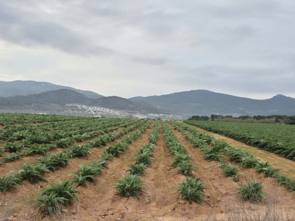 Building plot with building permit. Building plot with building permitThis plot is located in the prestigious village of Hondon de las Nieves, just a few minutes from the center. This 14,000 m² plot (photo 2) offers an exceptional opportunity to build your dream home in a quiet and charming environment.The building permit application has been approved by the municipality. Water is available and electricity has been requested.Thanks to its location (photo 1), the plot enjoys excellent sun exposure and offers open views of the natural surroundings.An ideal option for both residential and investment purposes in Hondon de las Nieves.