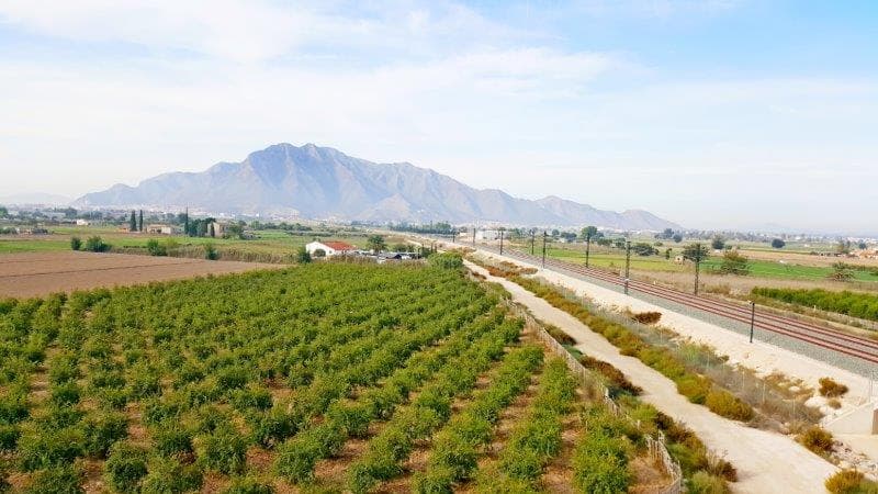 Rustic property of 46,816 m2 (the minimum to build a legal home is 10,000 m2) with a house to reform and more than enough water supply to irrigate it all.Located 3 km from the center of Callosa de Segura and Cox, with all services.Recreational farm, to live and or spend seasonsAgrobusiness operation. With provision of water to plant the typical crops of the garden: citrus fruits, vegetables, greens...House - Rural hotel: By reforming the house, a very profitable business could be carried out, taking into account, above all, that the pandemic has modified the preferences of tourists for this type of accommodation in the countryside. The constructed area could be expanded because a buildable area of 2% of the land is allowed (almost 1000 m2) and there are only 100 m2 in the existing house.A few minutes from the Callosa mountain, with hiking trails, trekking, its via ferrata, etc. Also near the monumental historic center of the city of Orihuela.25 minutes from the beaches (Guardamar, La Mata, Orihuela Costa) and less than an hour from Alicante airport.It has 2 accesses by car and is close to other houses.Excellent views of the mountains and the orchard landscape of Vega Baja.