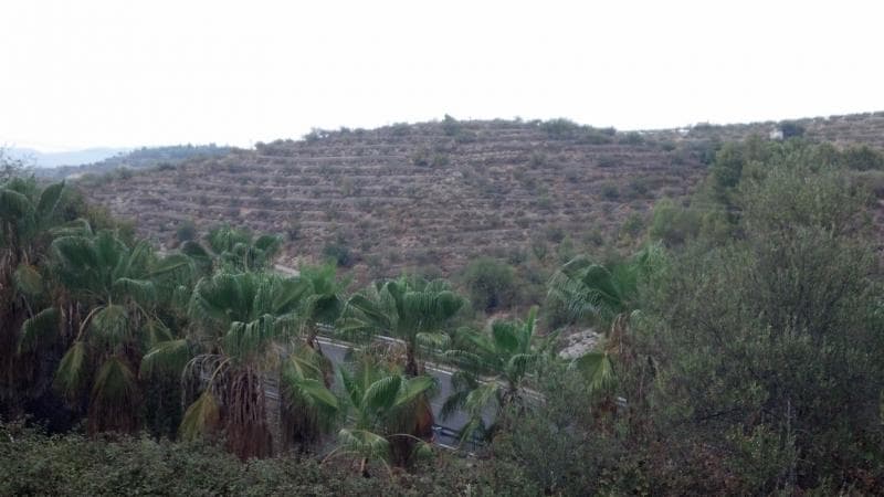 67,500 rustic land in Salem, 20km from Gandia. Owned by 2 companies therefore not liable for AJD and IVA can be discounted if bought by another company. one house can be build 2% build.We are specialists in the Costa Blanca and Costa Calida specialising in the Alicante and Murcia Inland regions with a particular emphasis on Elda, Pinoso, Aspe, Elche and surrounding areas. We are an established, well known and trusted company that has built a solid reputation amongst buyers and sellers since we began trading in 2004. We offer a complete service with no hidden charges or surprises, starting with sourcing the property, right through to completion, and an unrivalled after sales service which includes property management, building services, and general help and advice to make your new house a home. With a portfolio of well over 1400 properties for sale, we are confident that we can help, so just let us know your preferred property, budget and location, and we will do the rest.
