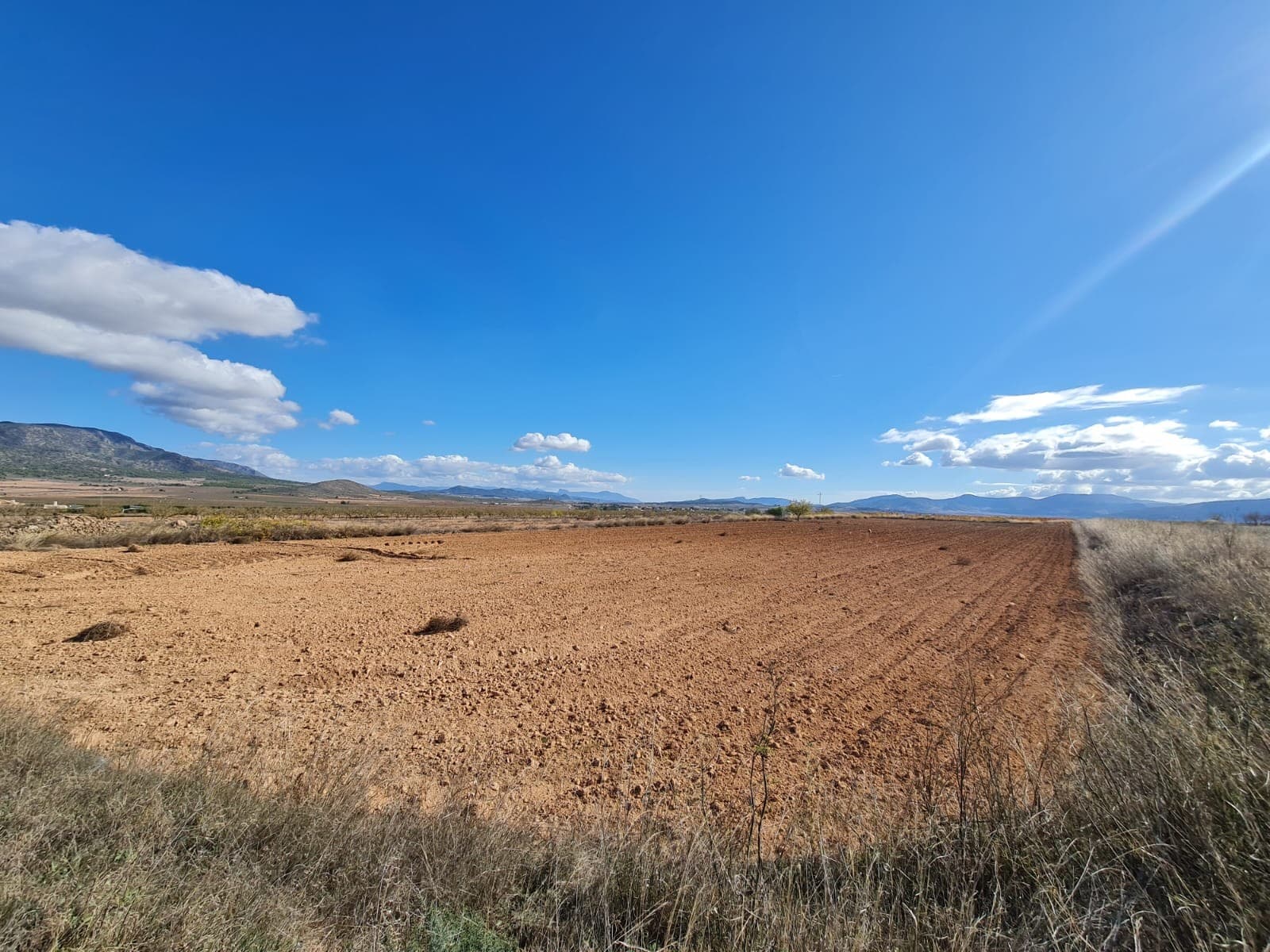Plot of land for sale in Yecla with 5577m2We have a large portfolio of properties in the Costa Blanca and Costa Calida areas, specialising in country properties, villas, fincas, building plots and design and build options in the Alicante and Murcia regions with a particular emphasis on Elda, Monovar, Pinoso, Sax, Villena, Aspe, Fortuna, Albacete and many more surrounding areas. We have been established since 2004 and have decades of experience between the team which we bring to bear to help you find and secure your new dream home. We help you every step of the way to make sure your purchase in Spain is safe and hassle free. We are not here to sell you a property, we are here to help you realise your dream and find what is right for you. With us you are in the safest hands. Contact us now to have a no obligation chat about how you too can realise your dreams.