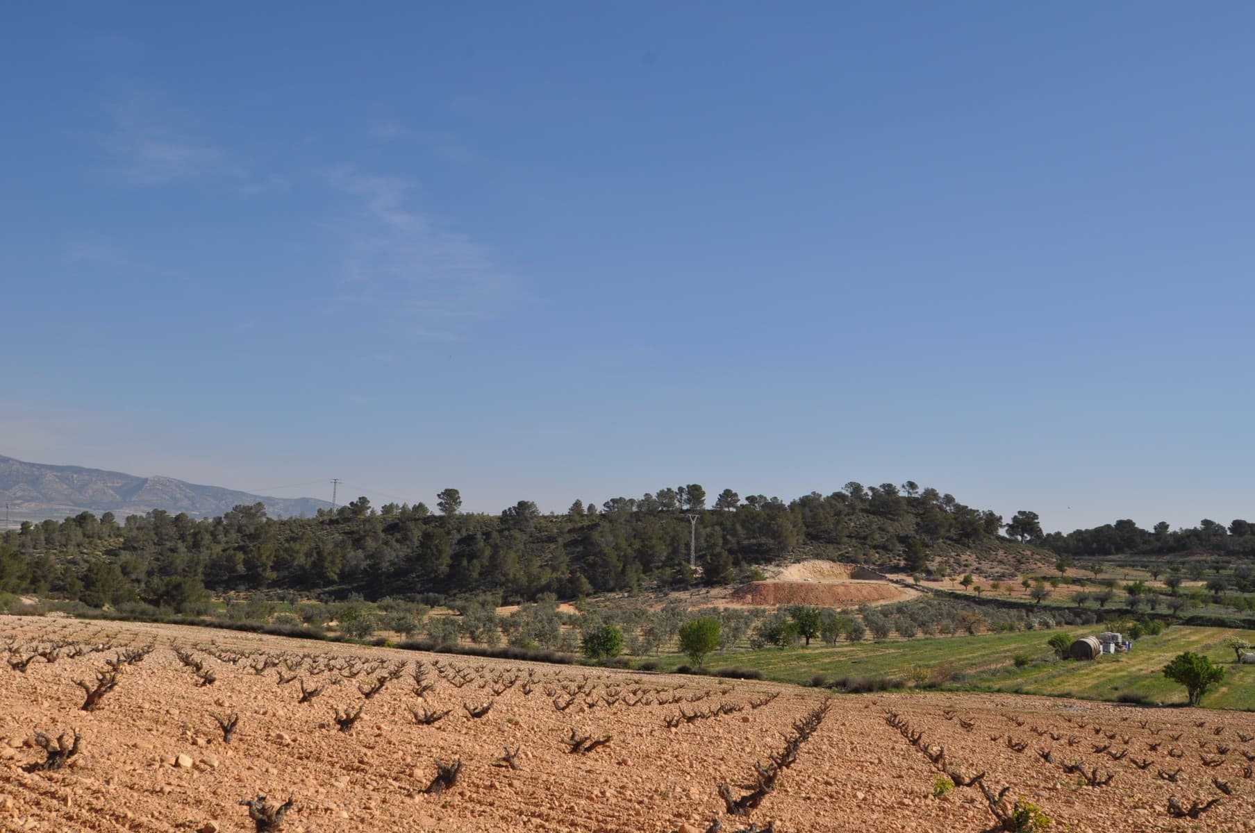 This plot is located in the stunning location of La zarza and is set on the edge of the National park of Sierra De La Plia. With walking and cycling track in abundance in this area makes it popular with tourests and locals alike. The plots will come with written confirmation from the town hall that the plots can be built on along with written confirmation that mains water and electricity are possible to the plot (quotes also available). In this area the town hall allow the following builds. Single level properties upto 250m2 and two level of 200m2 and 200m2. If this looks and sounds like the plot for you click on the link below to arrange your viewing today.We are specialists in the Costa Blanca and Costa Calida specialising in the Alicante and Murcia Inland regions with a particular emphasis on Elda, Pinoso, Aspe, Elche and surrounding areas. We are an established, well known and trusted company that has built a solid reputation amongst buyers and sellers since we began trading in 2004. We offer a complete service with no hidden charges or surprises, starting with sourcing the property, right through to completion, and an unrivalled after sales service which includes property management, building services, and general help and advice to make your new house a home. With a portfolio of well over 1400 properties for sale, we are confident that we can help, so just let us know your preferred property, budget and location, and we will do the rest.