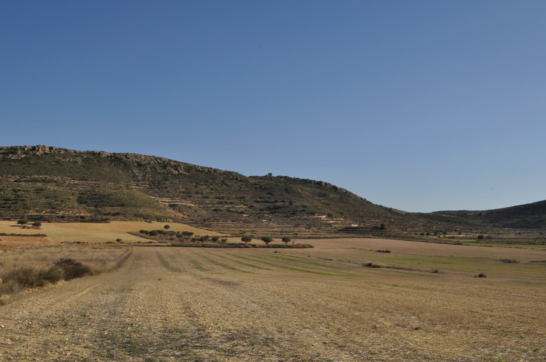This is a collection of 5 legal building plots approximately 7 minutes outside the town of Pinoso. The plots are located within walking distance to a village bar / restaurant and already have a point of drinking water. Electric is also available in the area. On EACH plot (there are 5 plots being sold here) you can build a house of 250 square metres on the one level or you can build a two level house with 200 square metres per floor giving you a total build area of 400 square metres. It also has access via a tarmac road. Your main day today facilities will be in the town of Pinoso which is approximately 7 minutes away where you can find supermarkets, bars, restaurants, shops, et cetera.We have been designing and building homes in the area since 2004 and as such we have a wealth of knowledge and experience which we can bring to bear in helping you to realise your new dream home. We help you as much or as little as you want, from just buying the plot to helping you with planning permission to actually project managing the build for you. We have over 150 plots, if you would like to arrange to view this plot and other ideas then please do not hesitate to contact us. We look forward to helping you get a step closer to realising your dream.We have a large portfolio of properties in the Costa Blanca and Costa Calida areas, specialising in country properties, villas, fincas, building plots and design and build options in the Alicante and Murcia regions with a particular emphasis on Elda, Monovar, Pinoso, Sax, Villena, Aspe, Fortuna, Albacete and many more surrounding areas. We have been established since 2004 and have decades of experience between the team which we bring to bear to help you find and secure your new dream home. We help you every step of the way to make sure your purchase in Spain is safe and hassle free. We are not here to sell you a property, we are here to help you realise your dream and find what is right for you. With us you are in the safest hands. Contact us now to have a no obligation chat about how you too can realise your dreams.