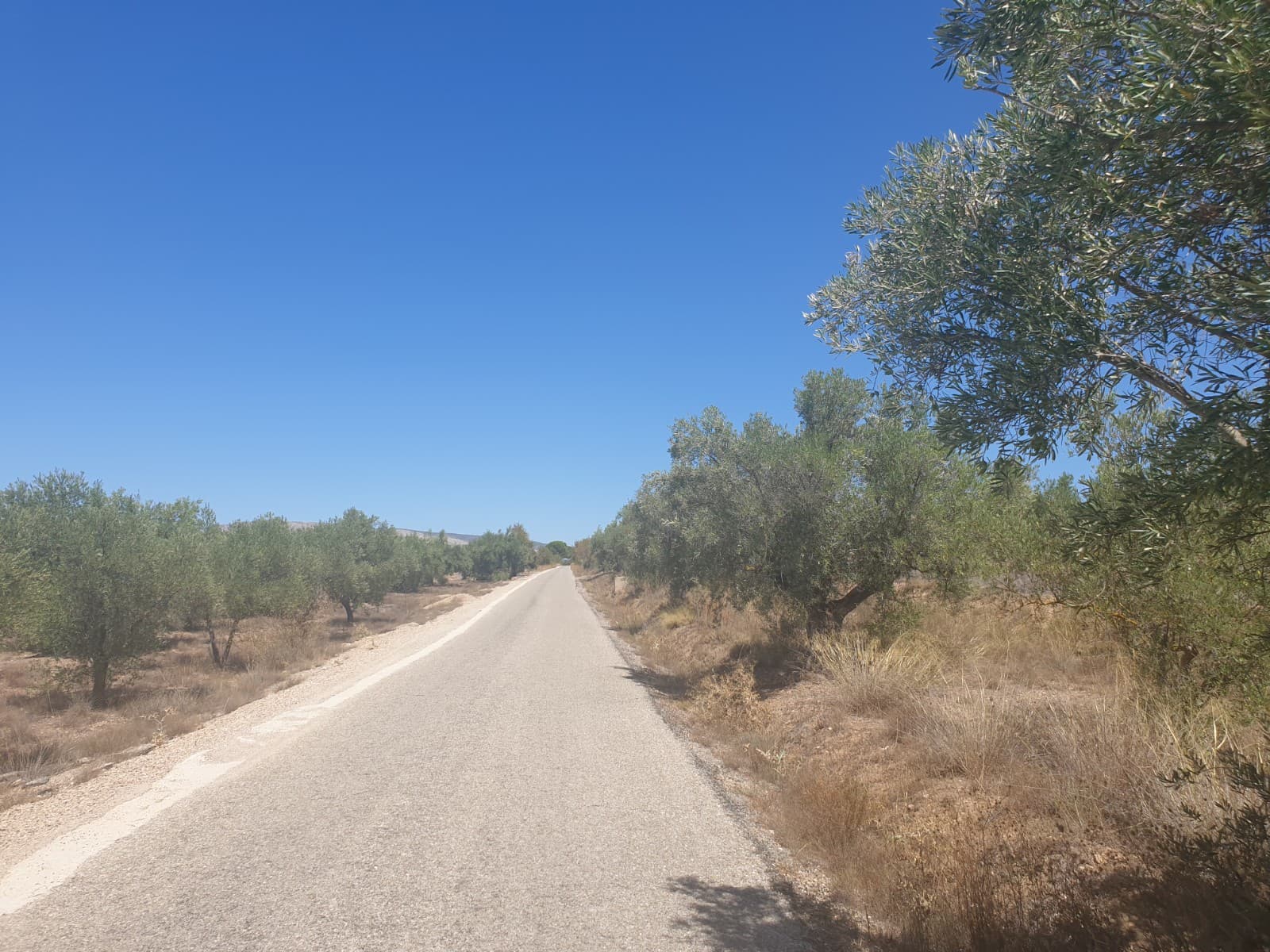 Great plot located on the outskirts of Biar with good access. The plot has just under 10,000 m² spread over several terraces and is planted with mature almond and olive trees.The property offers great views down the valley over the surrounding vineyards and orchards.Ideal for someone who wants to have a plot to get away too.If you liked this property, do not hesitate to contact us to organize a visit, we will be happy to help you!We are specialists in the Costa Blanca and Costa Calida specialising in the Alicante and Murcia Inland regions with a particular emphasis on Elda, Pinoso, Aspe, Elche and surrounding areas. We are an established, well known and trusted company that has built a solid reputation amongst buyers and sellers since we began trading in 2004. We offer a complete service with no hidden charges or surprises, starting with sourcing the property, right through to completion, and an unrivalled after sales service which includes property management, building services, and general help and advice to make your new house a home. With a portfolio of well over 1400 properties for sale, we are confident that we can help, so just let us know your preferred property, budget and location, and we will do the rest.