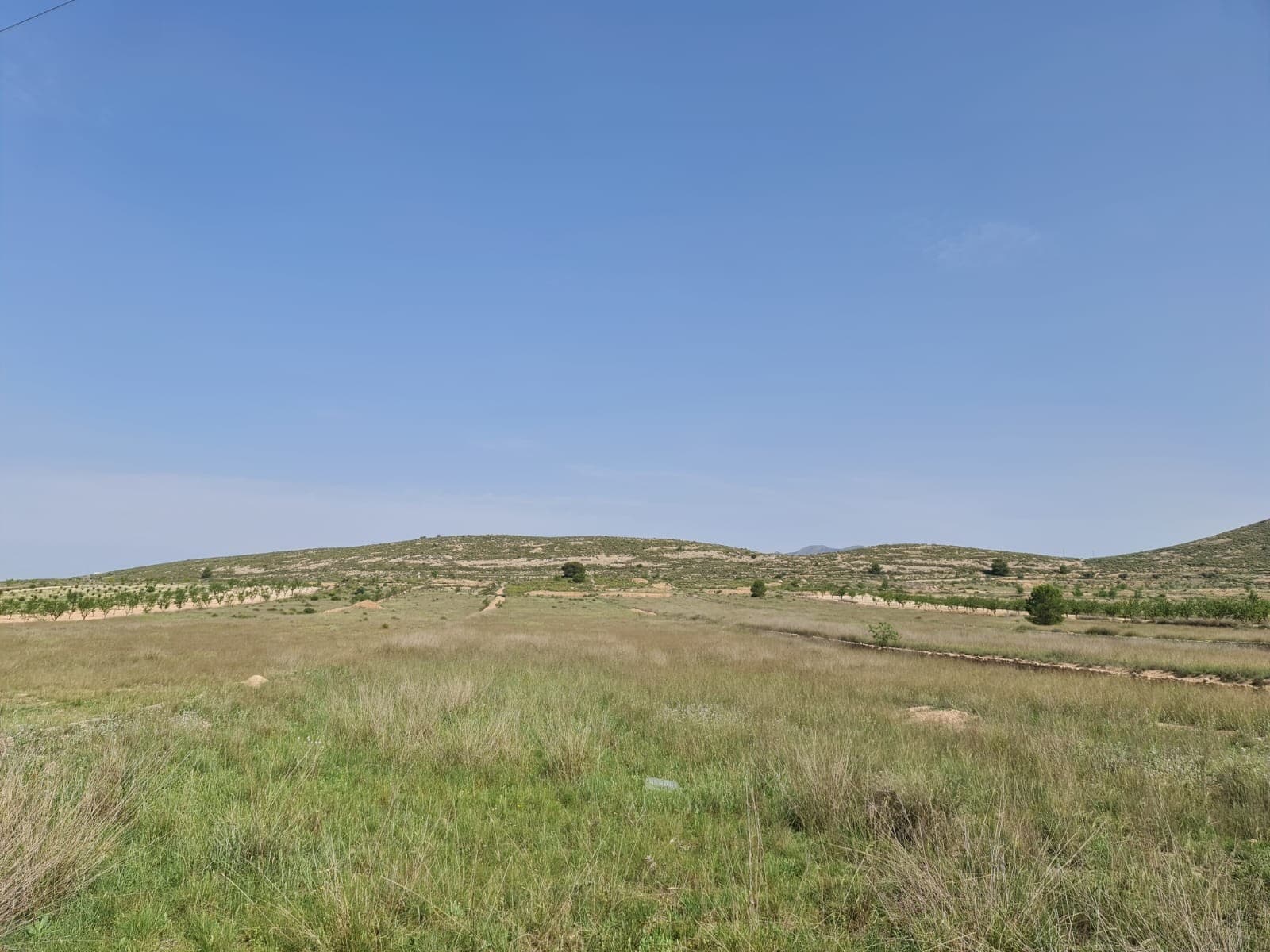 Located on a spacious plot of land spanning 14,500 square meters and the potential of building up to 200m2 + 200m2 over two levels or 250m2 on one level, this property offers a promising opportunity for various development projects. The plot is surrounded by abundant natural light. With an approximate cost of 3,800 euros, you can connect electricity to the plot, that presents an affordable investment with significant potential.Conveniently, a water source is in close proximity, with a distance of approximately 200 meters from the plot. This ensures easy access to water, whether for agricultural purposes or residential use.The expansive size of the plot allows for diverse applications, including the construction of a residential building or even agricultural ventures. The land's vastness provides ample space for creative design and customization to suit various needs and aspirations.Additionally, the plot's proximity to natural light ensures an atmosphere of openness and brightness throughout the day, creating an inviting environment for any future development. The abundant light can contribute to energy-efficient design options, making the property an ideal location for environmentally conscious projects.With the availability of water nearby, this plot of land presents an excellent opportunity for ventures requiring a steady water supply, such as farming, gardening, or recreational facilities. The convenient access to water simplifies the implementation of irrigation systems, making it easier to cultivate crops or maintain green spaces.In conclusion, this plot of land encompasses 14,500 square meters of potential, with the advantages of being in close proximity to light and water sources. Whether for residential or agricultural purposes, this property offers a versatile canvas for ambitious projects and provides a solid foundation for future growth and development.We have a large portfolio of properties in the Costa Blanca and Costa Calida areas, specialising in country properties, villas, fincas, building plots and design and build options in the Alicante and Murcia regions with a particular emphasis on Elda, Monovar, Pinoso, Sax, Villena, Aspe, Fortuna, Albacete and many more surrounding areas. We have been established since 2004 and have decades of experience between the team which we bring to bear to help you find and secure your new dream home. We help you every step of the way to make sure your purchase in Spain is safe and hassle free. We are not here to sell you a property, we are here to help you realise your dream and find what is right for you. With us you are in the safest hands. Contact us now to have a no obligation chat about how you too can realise your dreams.