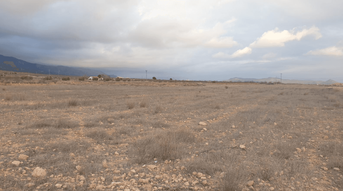 Bedrooms: 0, Bathrooms: 0, Land in Pinoso, Alicante, Spain