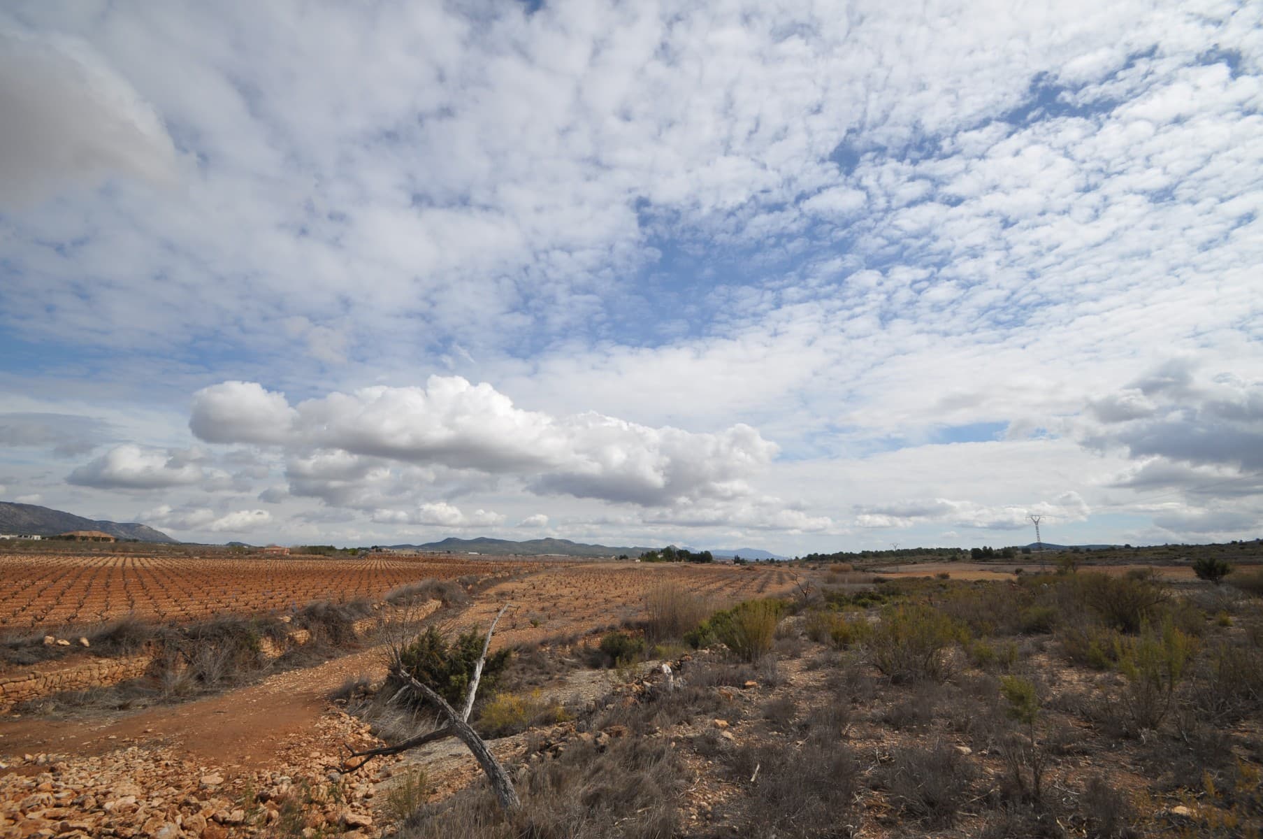 Fully legal building plot located 5 minutes from the main town of pinoso which offers all your day to day facilities including bars, restaurants, shops, medical centre, et cetera. the plot has good access via a tarmac road and then a short well maintained track. In the sale price is included mains electric and also mains drinking water - internet and telephone are also available in the area without difficulty. In this area you can build 2% of the plot size and up to two levels. We have been designing and building properties for clients since 2004 and as such have a wealth of knowledge and experience which we can bring to bear to help you realise your new dream home. Whether you just wish to buy the plot from us, use our services for help with design and planning, or even to project manage your full build, we are here to help you as much or as little as you need. Realising your new home is a big and important decision and it's important to put that in the hands of a longstanding and established company. Should you have any questions or queries with regards to this building plot, the design and plnning process, or the building process, please don't hesitate to get in touch. We are here to help - let us take care of all the hassle for you.We are specialists in the Costa Blanca and Costa Calida specialising in the Alicante and Murcia Inland regions with a particular emphasis on Elda, Pinoso, Aspe, Elche and surrounding areas. We are an established, well known and trusted company that has built a solid reputation amongst buyers and sellers since we began trading in 2004. We offer a complete service with no hidden charges or surprises, starting with sourcing the property, right through to completion, and an unrivalled after sales service which includes property management, building services, and general help and advice to make your new house a home. With a portfolio of well over 1400 properties for sale, we are confident that we can help, so just let us know your preferred property, budget and location, and we will do the rest.
