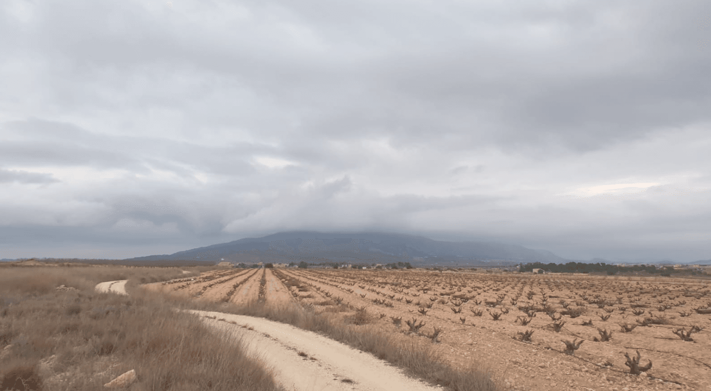 Bedrooms: 0, Bathrooms: 0, Land in Pinoso, Alicante, Spain