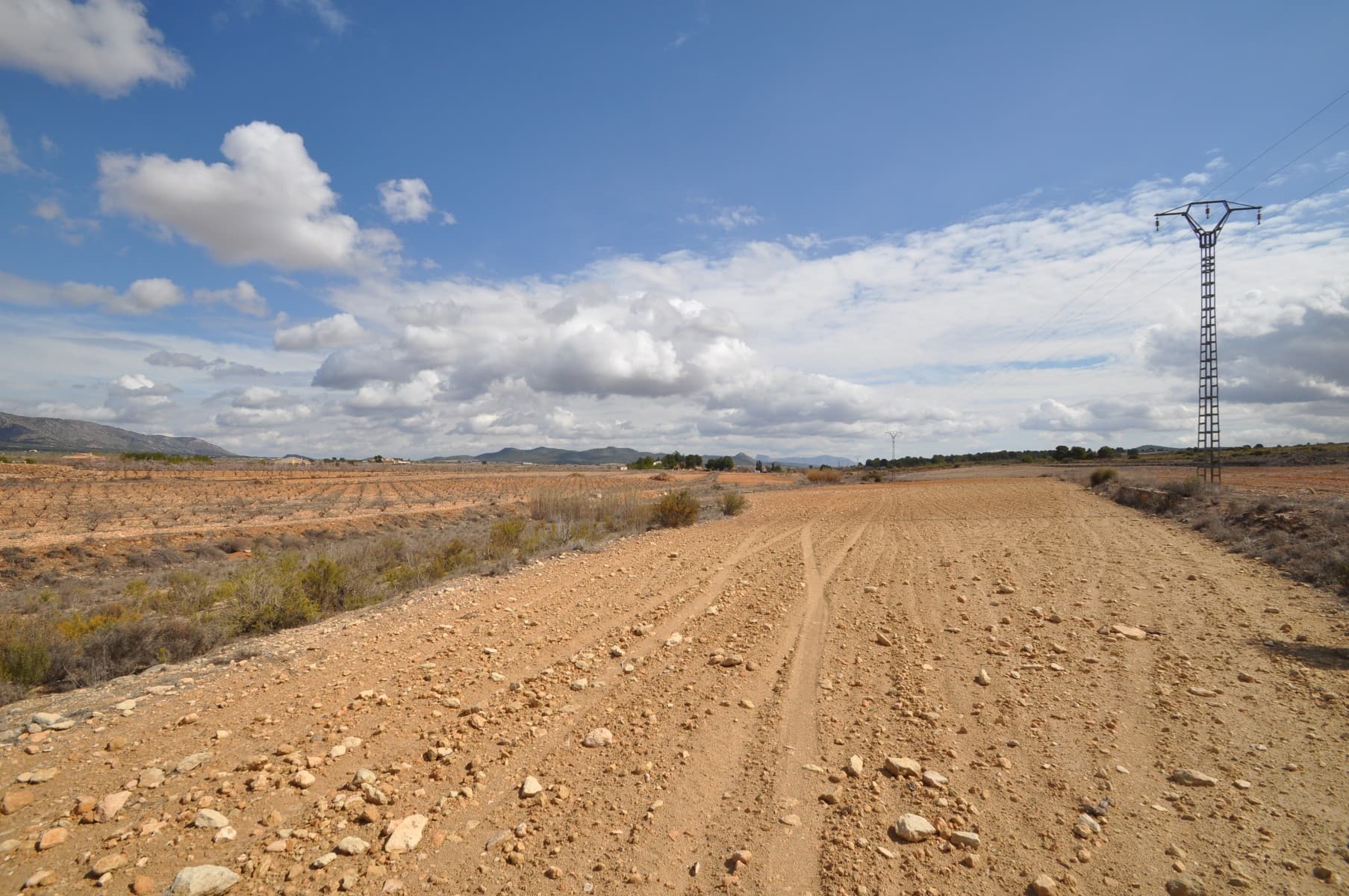 Fully legal building plot located 5 minutes from the main town of pinoso which offers all your day to day facilities including bars, restaurants, shops, medical centre, et cetera. the plot has good access via a tarmac road and then a short well maintained track. In the sale price is included mains electric and also mains drinking water - internet and telephone are also available in the area without difficulty. In this area you can build 2% of the plot size and up to two levels. We have been designing and building properties for clients since 2004 and as such have a wealth of knowledge and experience which we can bring to bear to help you realise your new dream home. Whether you just wish to buy the plot from us, use our services for help with design and planning, or even to project manage your full build, we are here to help you as much or as little as you need. Realising your new home is a big and important decision and it's important to put that in the hands of a longstanding and established company. Should you have any questions or queries with regards to this building plot, the design and plnning process, or the building process, please don't hesitate to get in touch. We are here to help - let us take care of all the hassle for you.We are specialists in the Costa Blanca and Costa Calida specialising in the Alicante and Murcia Inland regions with a particular emphasis on Elda, Pinoso, Aspe, Elche and surrounding areas. We are an established, well known and trusted company that has built a solid reputation amongst buyers and sellers since we began trading in 2004. We offer a complete service with no hidden charges or surprises, starting with sourcing the property, right through to completion, and an unrivalled after sales service which includes property management, building services, and general help and advice to make your new house a home. With a portfolio of well over 1400 properties for sale, we are confident that we can help, so just let us know your preferred property, budget and location, and we will do the rest.