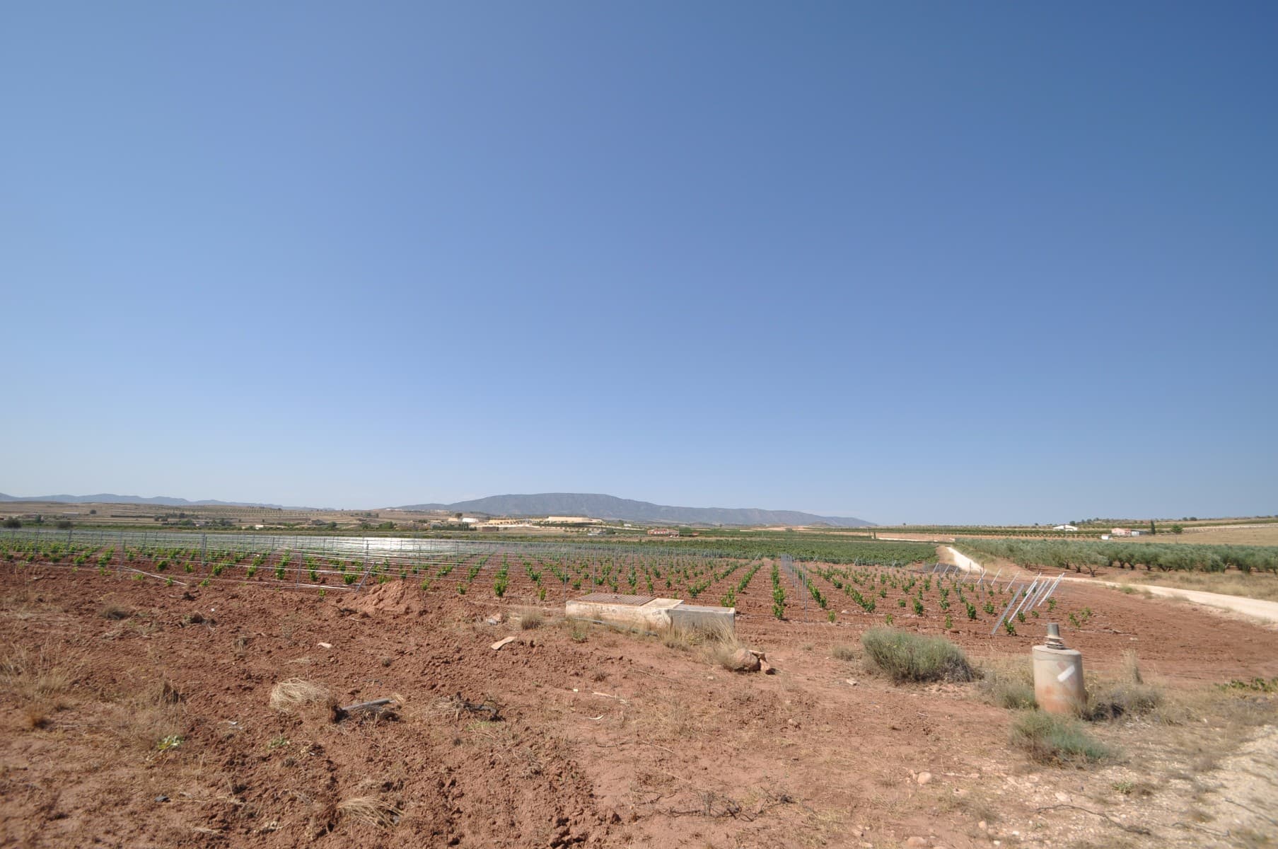 A lovely plot of land within walking distance to the town of pinoso. This plot is in a quiet area but not secluded. Within the asking price is riego waterWe are specialists in the Costa Blanca and Costa Calida specialising in the Alicante and Murcia Inland regions with a particular emphasis on Elda, Pinoso, Aspe, Elche and surrounding areas. We are an established, well known and trusted company that has built a solid reputation amongst buyers and sellers since we began trading in 2004. We offer a complete service with no hidden charges or surprises, starting with sourcing the property, right through to completion, and an unrivalled after sales service which includes property management, building services, and general help and advice to make your new house a home. With a portfolio of well over 1400 properties for sale, we are confident that we can help, so just let us know your preferred property, budget and location, and we will do the rest.
