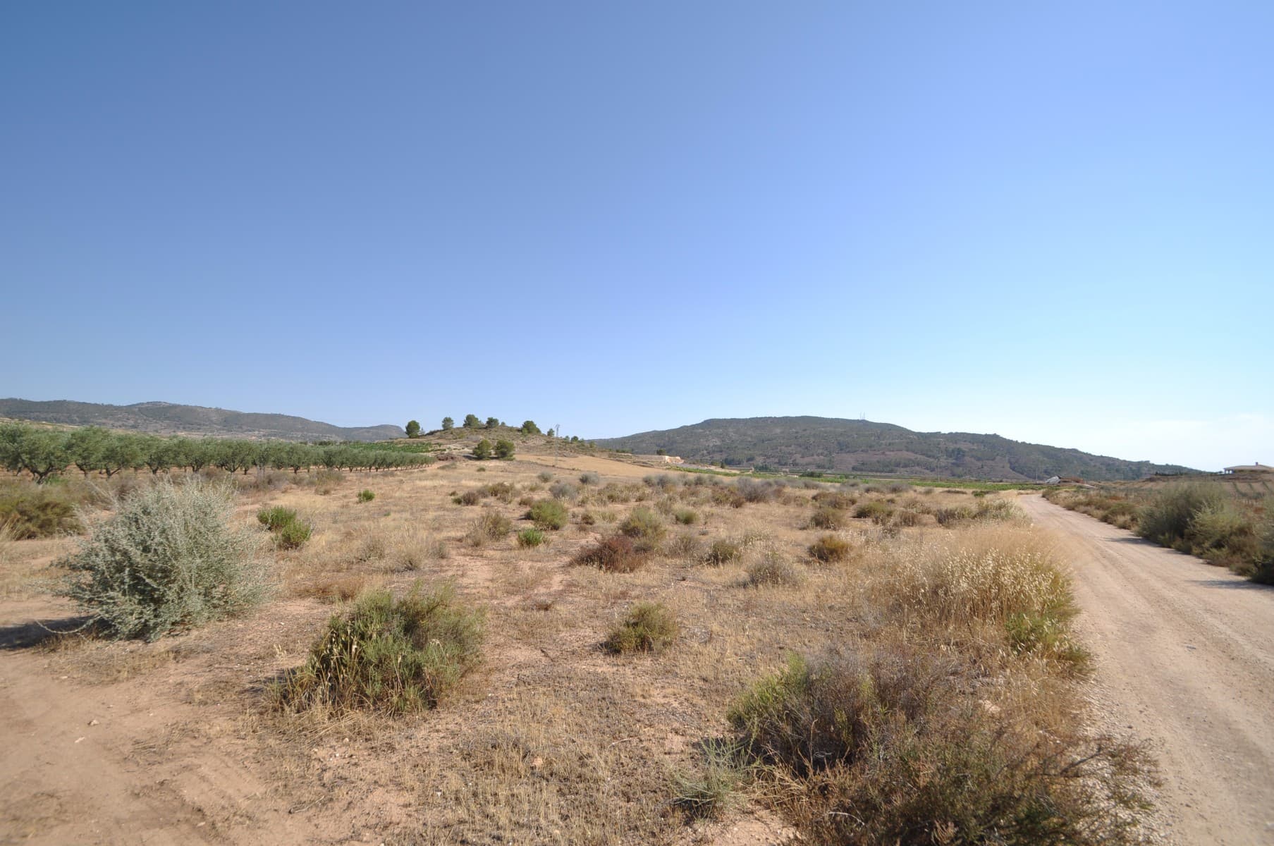 A plot of land situated in a quiet location but only a short distance to the town of Pinoso.We are specialists in the Costa Blanca and Costa Calida specialising in the Alicante and Murcia Inland regions with a particular emphasis on Elda, Pinoso, Aspe, Elche and surrounding areas. We are an established, well known and trusted company that has built a solid reputation amongst buyers and sellers since we began trading in 2004. We offer a complete service with no hidden charges or surprises, starting with sourcing the property, right through to completion, and an unrivalled after sales service which includes property management, building services, and general help and advice to make your new house a home. With a portfolio of well over 1400 properties for sale, we are confident that we can help, so just let us know your preferred property, budget and location, and we will do the rest.