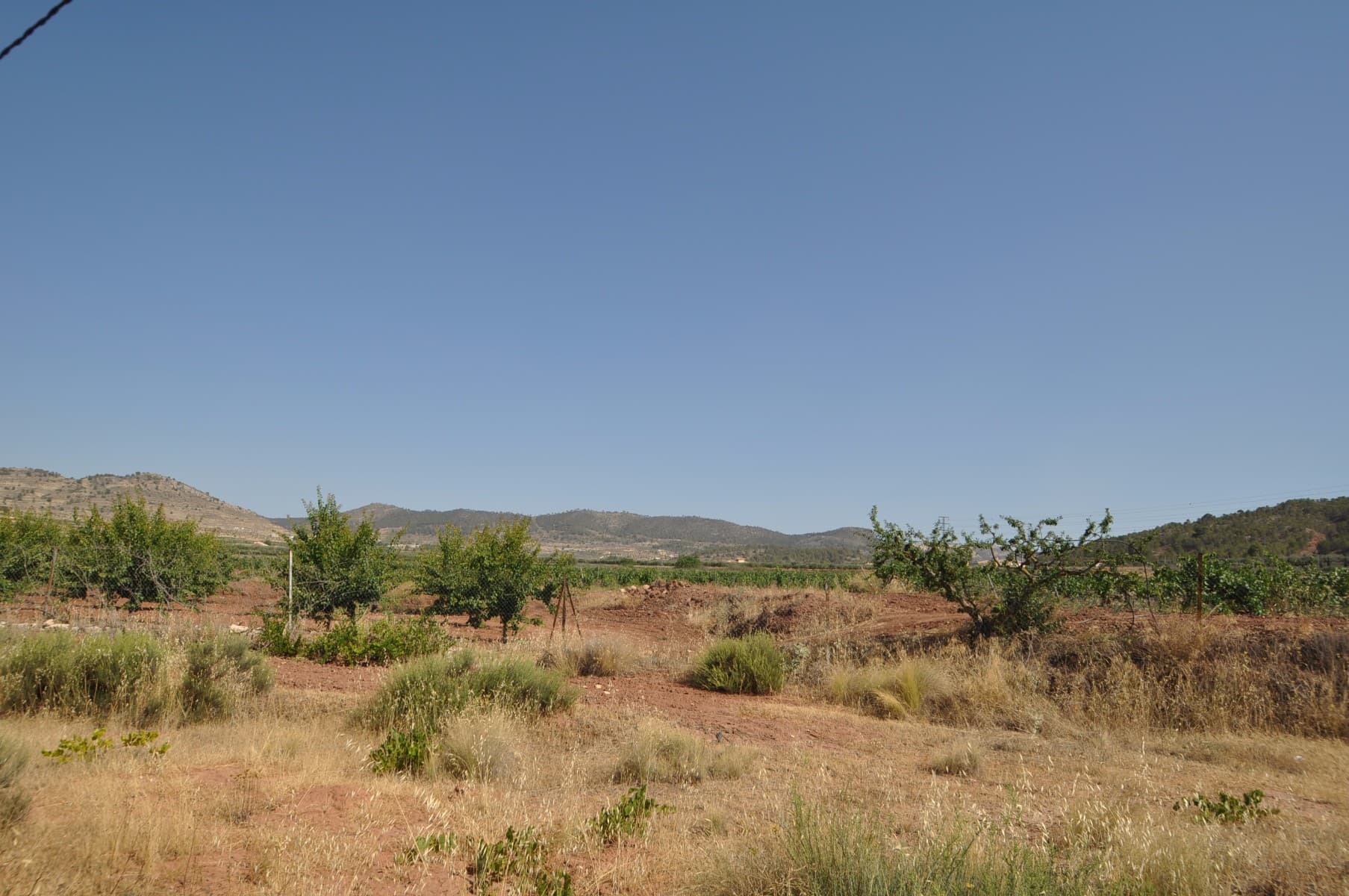A plot of land in a peaceful area but not secluded, only a short distance to the town of pinoso. This plot does not have water or electric