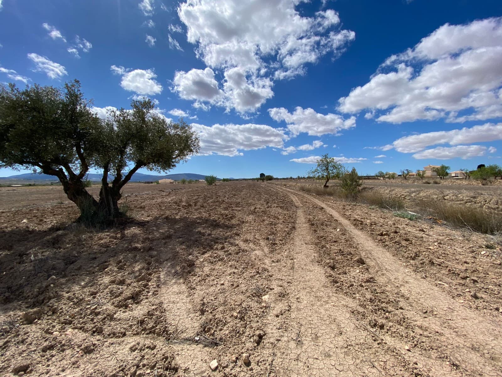 Introducing a prime plot of land spanning 12,797 square metres, complete with connected irrigation water for agricultural purposes. Additionally, the possibility of connecting drinking water and electricity adds further convenience and versatility to this property.With the potential to build on up to 2% of the land area, this plot offers exciting opportunities for development or construction projects. Whether you envision building your dream home or cultivating agricultural activities, this land provides ample space and resources to bring your vision to life.We have a large portfolio of properties in the Costa Blanca and Costa Calida areas, specialising in country properties, villas, fincas, building plots and design and build options in the Alicante and Murcia regions with a particular emphasis on Elda, Monovar, Pinoso, Sax, Villena, Aspe, Fortuna, Albacete and many more surrounding areas. We have been established since 2004 and have decades of experience between the team which we bring to bear to help you find and secure your new dream home. We help you every step of the way to make sure your purchase in Spain is safe and hassle free. We are not here to sell you a property, we are here to help you realise your dream and find what is right for you. With us you are in the safest hands. Contact us now to have a no obligation chat about how you too can realise your dreams.