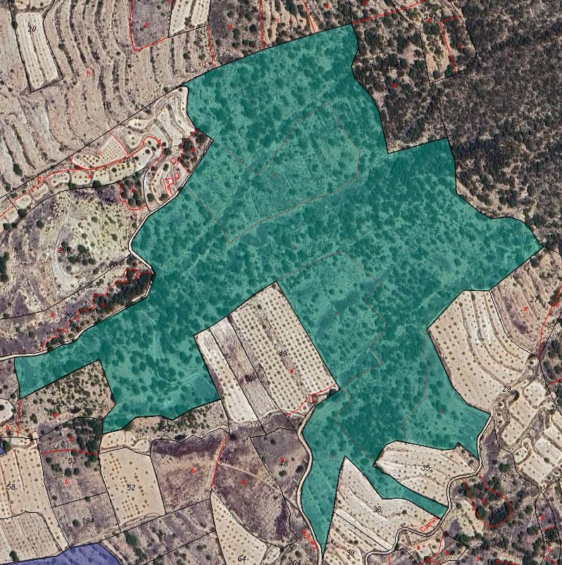 Introducing an exceptional opportunity in the heart of rural tranquility! This expansive plot of land covers an impressive 189,880 square meters, offering a vast canvas for various endeavours.With its substantial size, this land holds endless potential for development. Whether you envision crafting a secluded estate amidst the natural landscape, establishing agricultural operations, or pursuing commercial ventures, this property lays the groundwork for your ambitions.Nestled within a serene environment, this land provides a peaceful escape from urban life while remaining conveniently accessible. Seize the chance to turn this sprawling expanse into your own haven – book a viewing today and explore the boundless possibilities of this remarkable land.We have a large portfolio of properties in the Costa Blanca and Costa Calida areas, specialising in country properties, villas, fincas, building plots and design and build options in the Alicante and Murcia regions with a particular emphasis on Elda, Monovar, Pinoso, Sax, Villena, Aspe, Fortuna, Albacete and many more surrounding areas. We have been established since 2004 and have decades of experience between the team which we bring to bear to help you find and secure your new dream home. We help you every step of the way to make sure your purchase in Spain is safe and hassle free. We are not here to sell you a property, we are here to help you realise your dream and find what is right for you. With us you are in the safest hands. Contact us now to have a no obligation chat about how you too can realise your dreams.