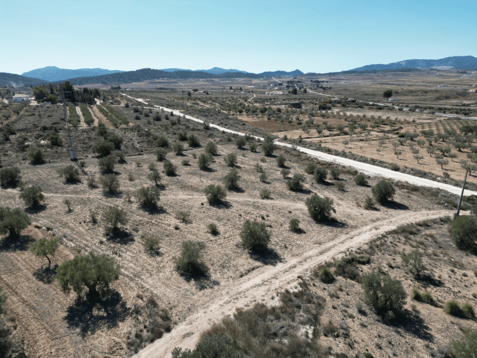 Welcome to an enticing opportunity in the countryside! This plot of land, spanning 4,250 square meters, The ideal space for agricultural pursuits. It cant be Built on due to lack of metres, but you can create your ideal garden and plantation of beautiful flowers hereNestled amidst the serene countryside, this land offers fertile ground for cultivating crops, planting orchards, or even creating a thriving garden. With its generous size, there's ample space to explore various agricultural activities and embrace a sustainable lifestyle.The potential for agricultural use opens up a world of possibilities for those with a green thumb and a passion for working the land. Don't miss out on the chance to turn this plot into a flourishing agricultural haven – schedule a viewing today and start planning your farming venture.We have a large portfolio of properties in the Costa Blanca and Costa Calida areas, specialising in country properties, villas, fincas, building plots and design and build options in the Alicante and Murcia regions with a particular emphasis on Elda, Monovar, Pinoso, Sax, Villena, Aspe, Fortuna, Albacete and many more surrounding areas. We have been established since 2004 and have decades of experience between the team which we bring to bear to help you find and secure your new dream home. We help you every step of the way to make sure your purchase in Spain is safe and hassle free. We are not here to sell you a property, we are here to help you realise your dream and find what is right for you. With us you are in the safest hands. Contact us now to have a no obligation chat about how you too can realise your dreams.