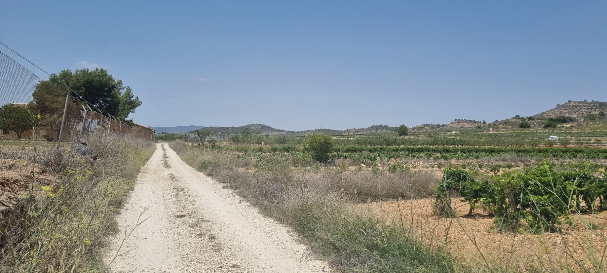 Lovely plot located approximately 5 minutes from the town of Pinoso offering beautiful views over the surrounding vineyards orchards and Regional Park. The plot comes with irrigation water included in the price, this is delivered on the mains pressure and can be used for washing bathing cleaning etc - officially you are not allowed to drink it although many clients have fitted a osmosis system with a UV philtre in order to change it to drinkable use. In pinoso you can find all your day-to-day facilities including bars, restaurants, 24 hour medical centre with an ambulance service supermarkets, schools, wine bodega's and much much more.We have been designing and building houses in the area for 20 years now as such we have a wealth of knowledge and experience which we can bring to bear in helping you realise your new dream home. We are here to help you as much or as little as you need - whether it's to just buy the plot to actually building and delivering your new dream home - we can help you and guide you every step of the way to make sure you realise your dream to time and budget.We have our own in-house builder who can do the work for you. However you are not tide to us in any way as we work with all the builders in the area thus giving you total flexibility and choice. In addition, should you decide to build with another builder we offer a project management service should you need it.If you wish to view this plot or other building plots that we have in our books please don't hesitate to get in touch - with us you run the safest hands. We