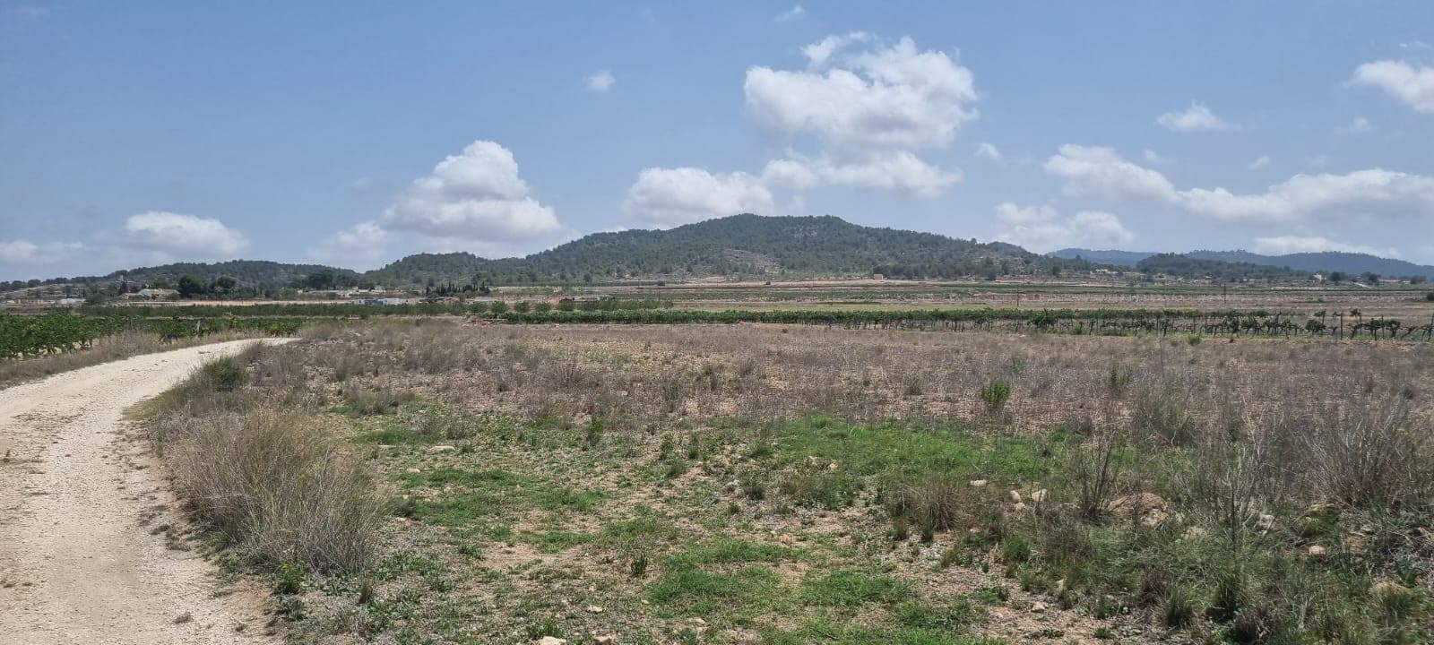 Lovely plot located approximately 5 minutes from the town of Pinoso offering beautiful views over the surrounding vineyards orchards and Regional Park. The plot comes with irrigation water included in the price, this is delivered on the mains pressure and can be used for washing bathing cleaning etc - officially you are not allowed to drink it although many clients have fitted A osmosis system with a UV philtre in order to change it to drinkable use. The plot comes with a certificate to confirm that it can be built on. In this area you can build 2% of the plot size and you can go up two levels. In pinoso you can find all your day-to-day facilities including bars, restaurants, 24 hour medical centre with an ambulance service supermarkets, schools, wine bodega's and much much more.We have been designing and building houses in the area for 20 years now as such we have a wealth of knowledge and experience which we can bring to bear in helping you realise your new dream home. We are here to help you as much or as little as you need - whether it's to just buy the plot to actually building and delivering your new dream home - we can help you and guide you every step of the way to make sure you realise your dream to time and budget.We have our own in-house builder who can do the work for you. However you are not tide to us in any way as we work with all the builders in the area thus giving you total flexibility and choice. In addition, should you decide to build with another builder we offer a project management service should you need it.If you wish to view this plot or other building plots that we have in our books please don't hesitate to get in touch - with us you run the safest hands. We look forward to helping you realise your new dream home.