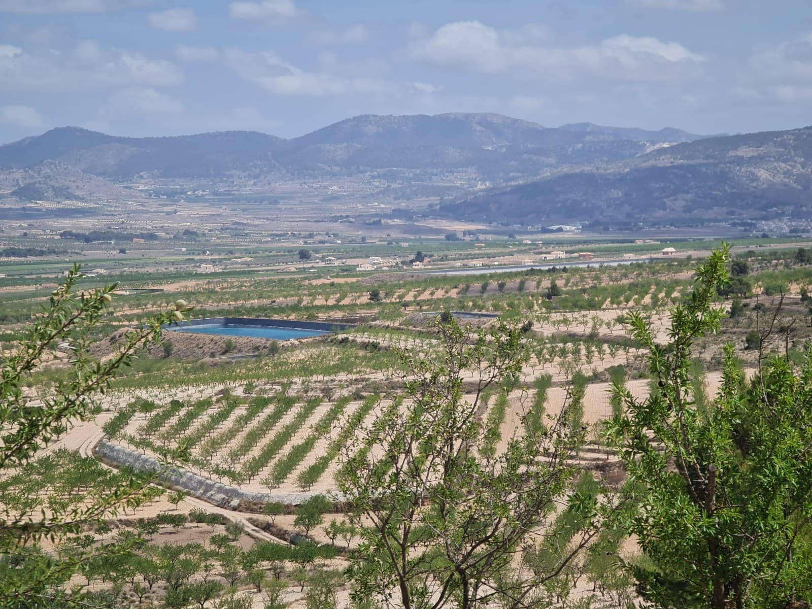This legal building plot is a true gem for those seeking a rural lifestyle surrounded by stunning views of orchards and vineyards. Despite not having electricity or water, it's no longer a problem because it's possible to install a water tank and a solar system, making it completely self-sufficient.Located on the base of a regional park and planted with almond trees, the plot offers a peaceful and idyllic environment perfect for building a dream home. With the possibility of building up to 5%, you can design and build the home of your dreams while enjoying the tranquility of the surrounding countryside.The plot is situated just 2km from the charming town of Raspay, where you'll find a variety of amenities, and only 7km away from Pinoso, where you can access all necessary services. This location offers the best of both worlds - a peaceful rural lifestyle without sacrificing convenience and accessibility.Imagine waking up to the breathtaking views of almond trees and vineyards, breathing in the fresh country air, and enjoying the tranquility of the surroundings. This is the perfect opportunity to make your rural living dreams come true. Don't miss out on the chance to own this magnificent plot of land.We havea large portfolio of properties in the Costa Blanca and Costa Calida areas, specialisingin country properties, villas, fincas, building plots and design and buildoptions in the Alicante and Murcia regions with a particular emphasis on Elda, Monovar,Pinoso, Sax, Villena, Aspe, Fortuna, Albacete and many more surrounding areas.We have been established since 2004 and have decades of experience between theteam which we bring to bear to help you find and secure your new dream home.We help you every step of the way to makesure your purchase in Spain is safe and hassle free.We are not here to sell you a property, weare here to help you realise your dream and find what is right for you.With us you are in the safest hands.Contact us now to have a no obligation chatabout how you too can realise your dreams.