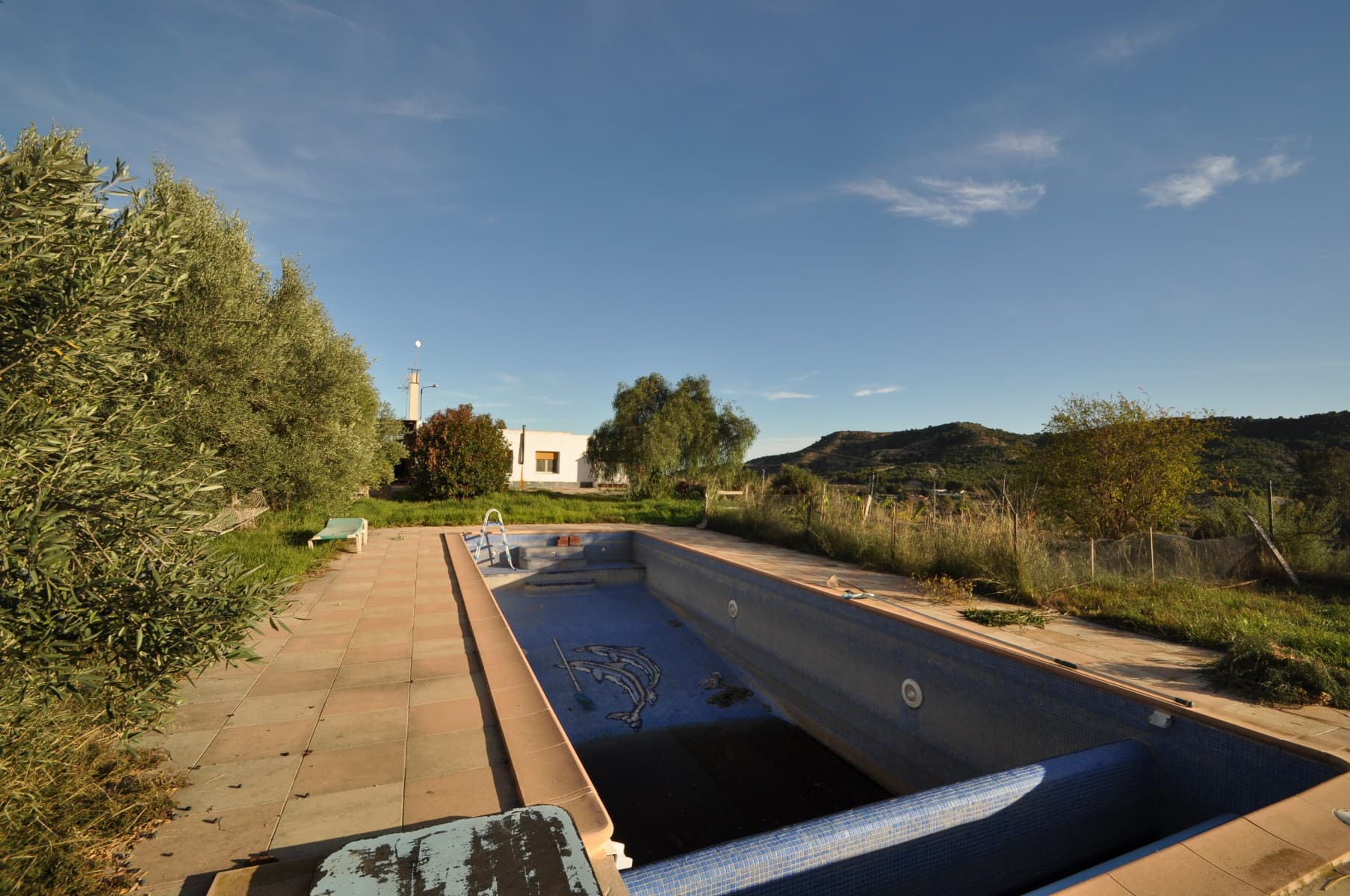 This Country house located in the mountains,it is fully level and accesable to everyone.The main house has 5 bedrooms in total, and there is one more in the guesthouse.More then enough space besides a pool to cultivate whatever comes to mind in your own garden.While you are surrounded by the green area,it will be fully conected with nature, and you will be able to fully relax under te Spanish sun,With some adjustments you will have your very own pool here in Spain.This would be a perfect vacation home, for anyone to get away from the busy city life.Our company also specialise in design and build, and we have access to a wealth of architects, builders, tradesmen and as such can help you at every step of the way. If you have any questions or would like to arrange to view them please don't hesitate to get in touch. We look for to hearing from you soon.We have a large portfolio of properties in the Costa Blanca and Costa Calida areas, specialising in country properties, villas, fincas, building plots and design and build options in the Alicante and Murcia regions with a particular emphasis on Elda, Monovar, Pinoso, Sax, Villena, Aspe, Fortuna, Albaceteand many more surrounding areas. We have been established since 2004 and have decades of experience between the team which we bring to bear to help you find and secure your new dream home. We help you every step of the way to make sure your purchase in Spain is safe and hassle free. We are not here to sell you a property, we are here to help you realise your dream and find what is right for you. With us you are in the safest hands. Contact us now to have a no obligation chat about how you too can realise your dreams.