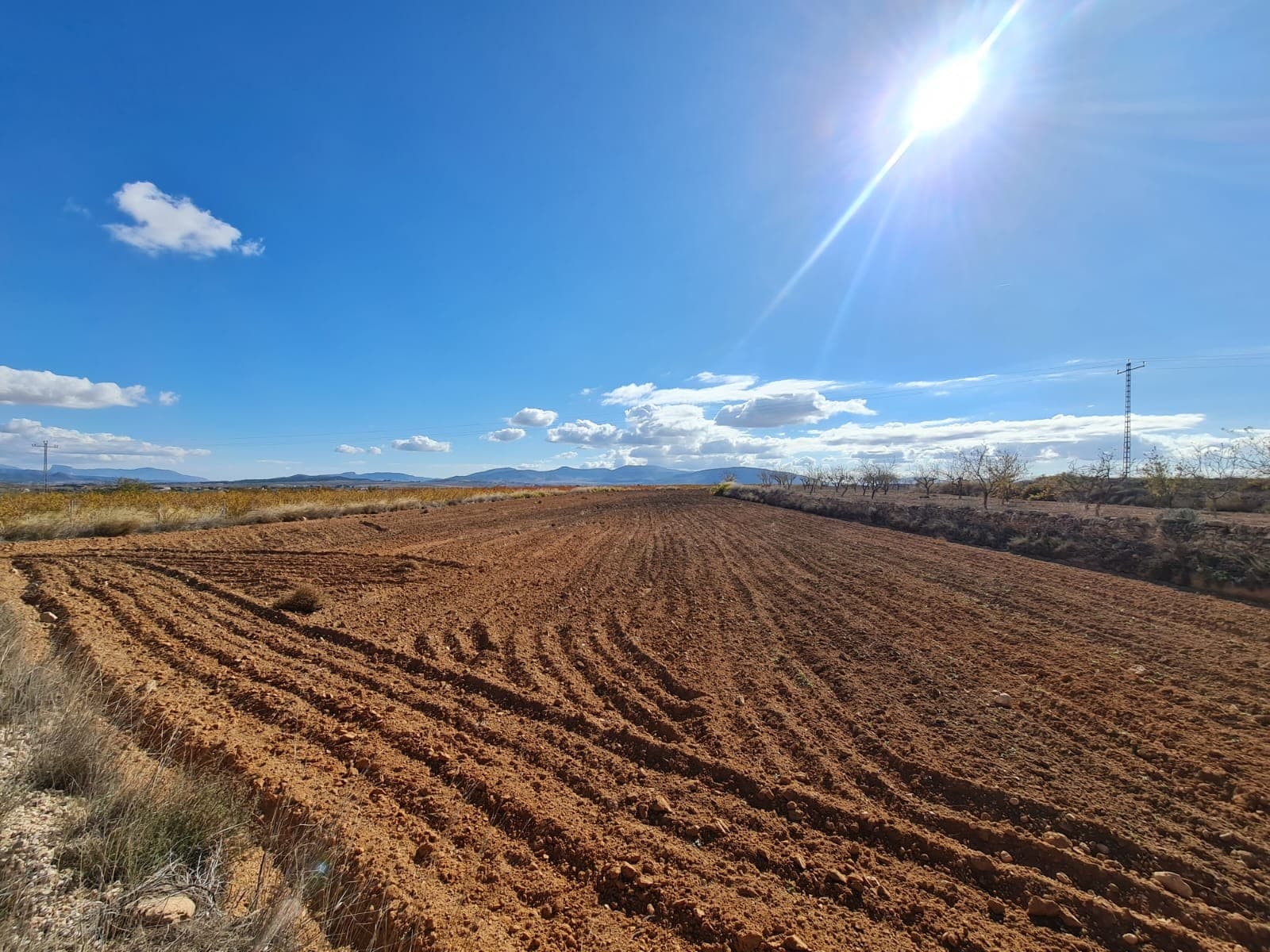 Plot of land in yecla with 6239m2 of land. We have a large portfolio of properties in the Costa Blanca and Costa Calida areas, specialising in country properties, villas, fincas, building plots and design and build options in the Alicante and Murcia regions with a particular emphasis on Elda, Monovar, Pinoso, Sax, Villena, Aspe, Fortuna, Albacete and many more surrounding areas. We have been established since 2004 and have decades of experience between the team which we bring to bear to help you find and secure your new dream home. We help you every step of the way to make sure your purchase in Spain is safe and hassle free. We are not here to sell you a property, we are here to help you realise your dream and find what is right for you. With us you are in the safest hands. Contact us now to have a no obligation chat about how you too can realise your dreams.