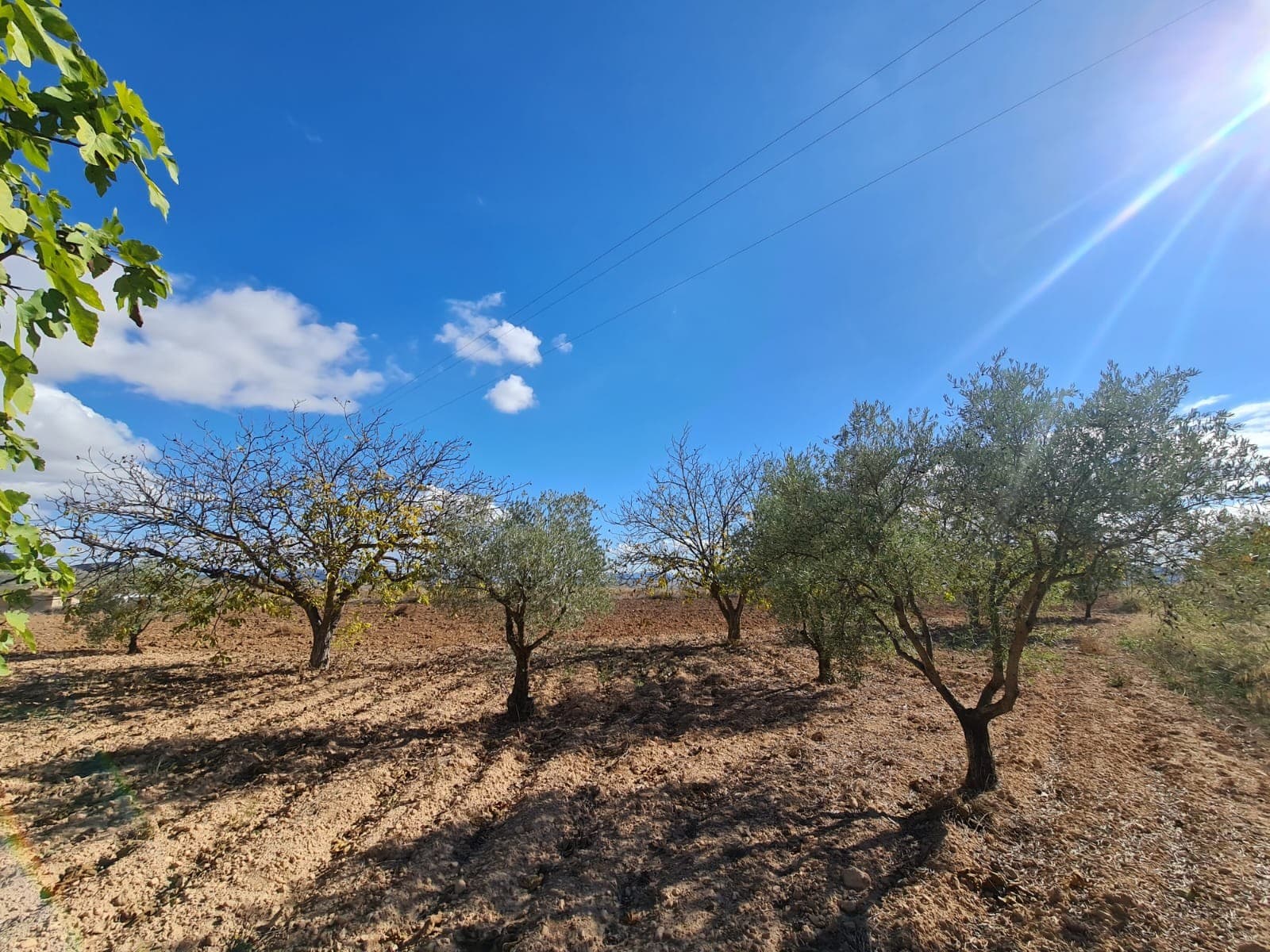 We have a large portfolio of properties in the Costa Blanca and Costa Calida areas, specialising in country properties, villas, fincas, building plots and design and build options in the Alicante and Murcia regions with a particular emphasis on Elda, Monovar, Pinoso, Sax, Villena, Aspe, Fortuna, Albacete and many more surrounding areas. We have been established since 2004 and have decades of experience between the team which we bring to bear to help you find and secure your new dream home. We help you every step of the way to make sure your purchase in Spain is safe and hassle free. We are not here to sell you a property, we are here to help you realise your dream and find what is right for you. With us you are in the safest hands. Contact us now to have a no obligation chat about how you too can realise your dreams.