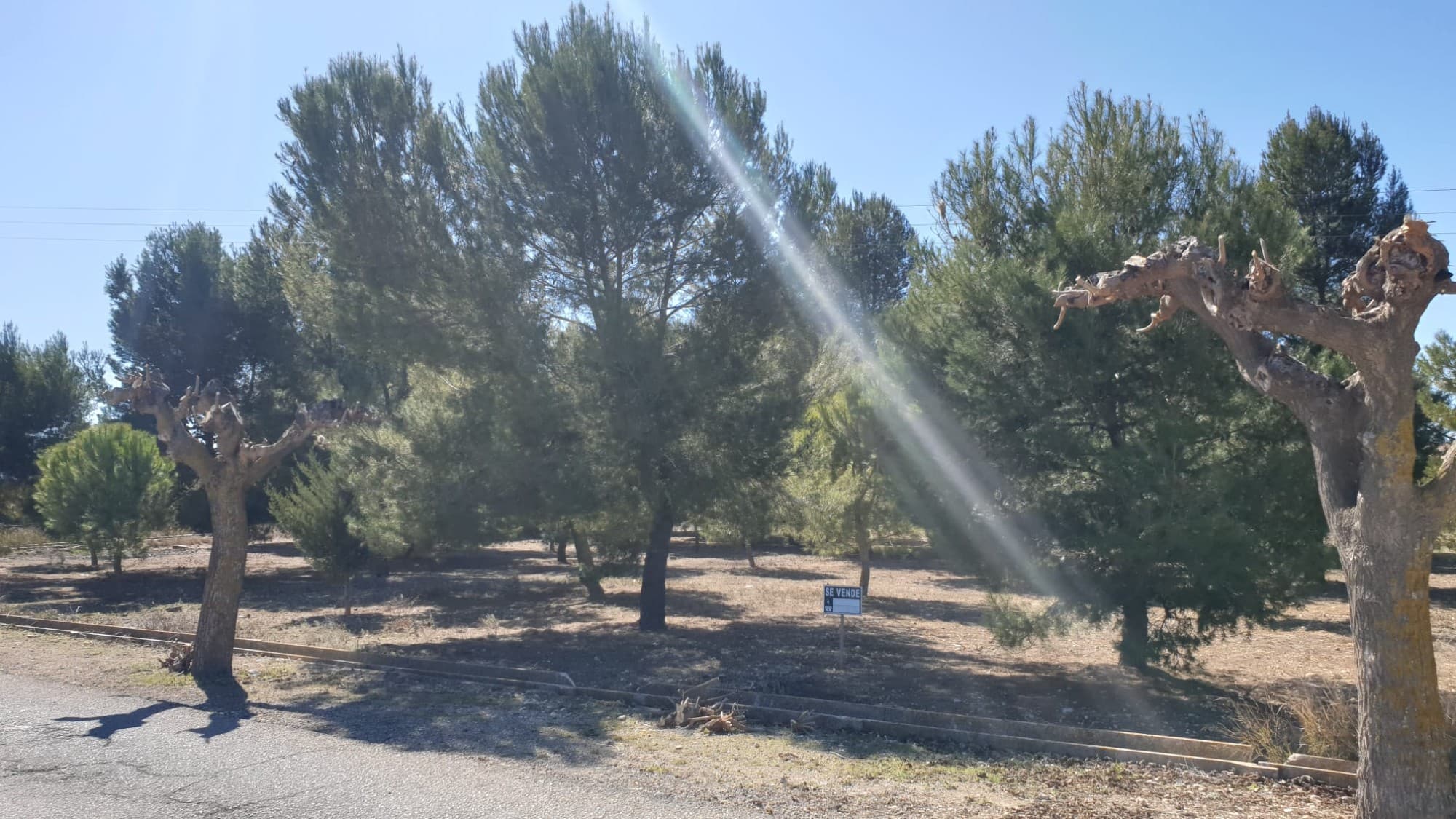 Legal Building Plot of 800m² in Charming VillageHere is a fantastic opportunity to own a legal building plot of 800m² in a picturesque village just a short distance from all amenities. This versatile property can be used to build one large house or divided into five smaller plots of 160m² each, providing the perfect opportunity for a developer to build a row of townhouses on the edge of town.The property benefits from excellent access via a tarmac road and is conveniently located less than a kilometre from the town and all your day-to-day facilities. Water and electricity are already connected to the plot, making the building process easier and more cost-effective.Whether you are looking to build your dream home or a row of townhouses, this legal building plot is an ideal investment opportunity. Take advantage of the great location and potential to make a substantial profit in the charming village.Don't miss out on this unique opportunity to own a piece of prime real estate in a desirable location. Contact us today to schedule a viewing and see for yourself the potential this property has to offer.We have a large portfolio of properties in the Costa Blanca and Costa Calida areas, specialising in country properties, villas, fincas, building plots and design and build options in the Alicante and Murcia regions with a particular emphasis on Elda, Monovar, Pinoso, Sax, Villena, Aspe, Fortuna, Albacete and many more surrounding areas. We have been established since 2004 and have decades of experience between the team which we bring to bear to help you find and secure your new dream home. We help you every step of the way to make sure your purchase in Spain is safe and hassle free. We are not here to sell you a property, we are here to help you realise your dream and find what is right for you. With us you are in the safest hands. Contact us now to have a no obligation chat about how you too can realise your dreams.