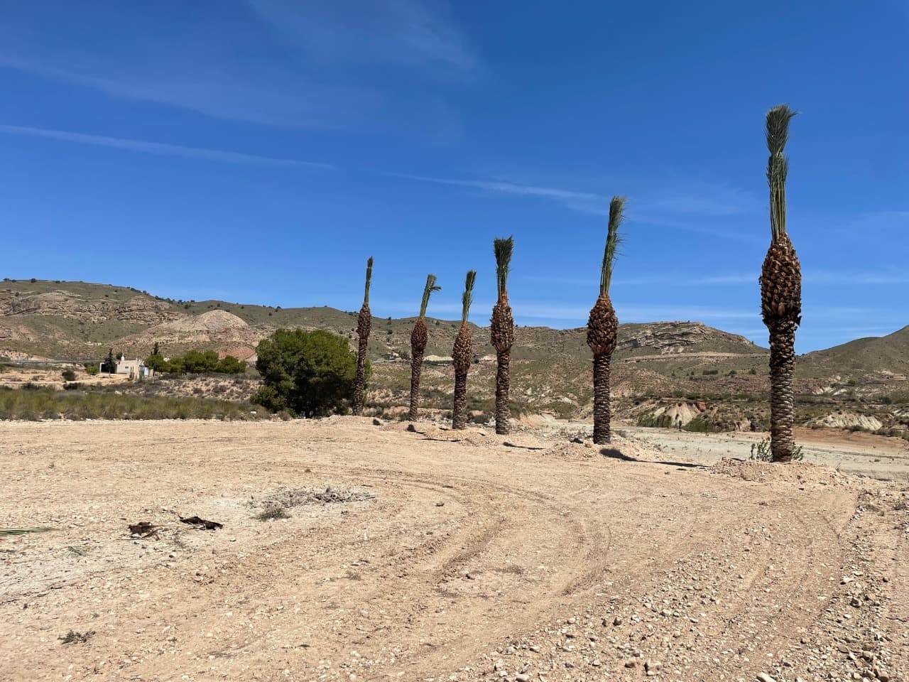 This plot is located in the stunning location of Salada Alto with great access and within walking distance to a couple of bars / restaurants.  The area is excellent for walking and cycling and also the Spa Town of Fortuna is a 10 min drive away. The plot will come with written confirmation from the town hall that the plot can be built on along with written confirmation that mains water and electricity are available to connect at the plot. In this area the town hall allow the following builds. Single level properties upto 250m2 and two level of 200m2 and 200m2.If this looks and sounds like the plot for you click on the link below to arrange your viewing today.We have a large portfolio of properties in the Costa Blanca and Costa Calida areas, specialising in country properties, villas, fincas, building plots and design and build options in the Alicante and Murcia regions with a particular emphasis on Elda, Monovar, Pinoso, Sax, Villena, Aspe, Fortuna, Albacete and many more surrounding areas. We have been established since 2004 and have decades of experience between the team which we bring to bear to help you find and secure your new dream home. We help you every step of the way to make sure your purchase in Spain is safe and hassle free. We are not here to sell you a property, we are here to help you realise your dream and find what is right for you. With us you are in the safest hands. Contact us now to have a no obligation chat about how you too can realise your dreams.
