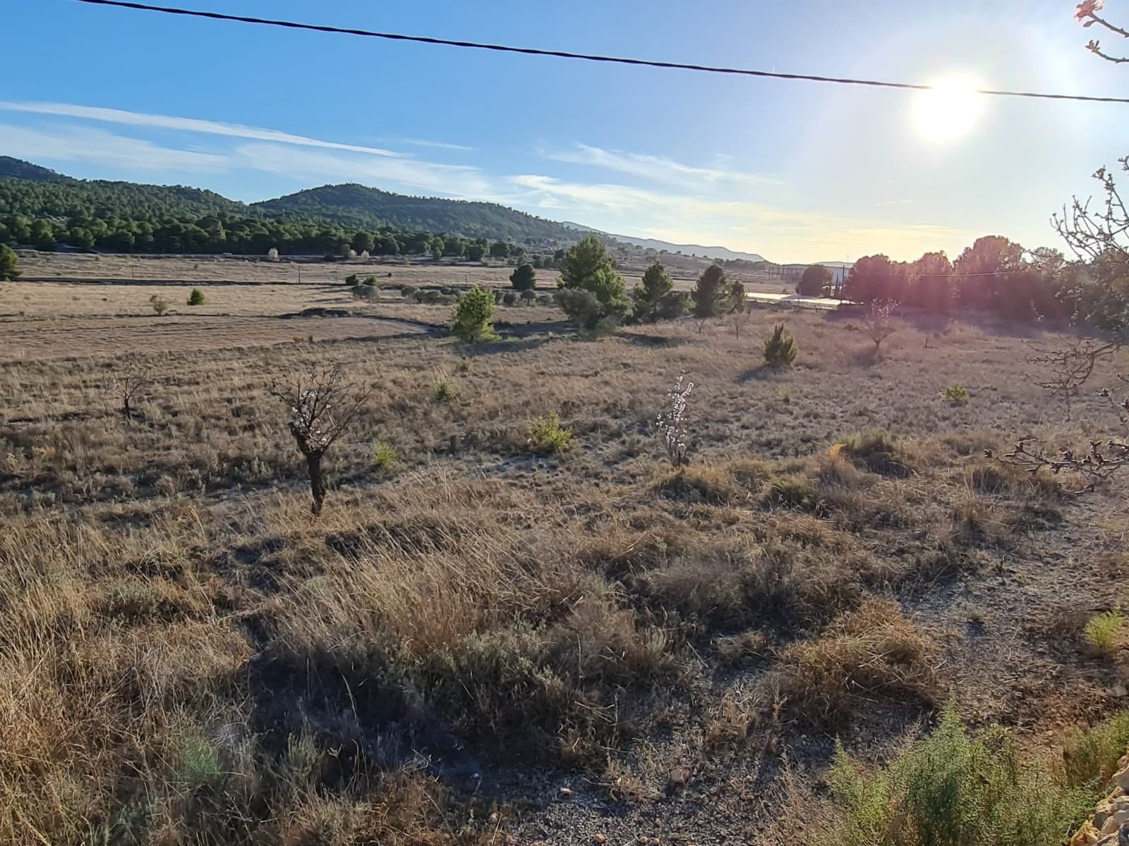 Building plot of 14900m2 located in Monovar with tarmac access and great views. In this area you can buildup to 2% of the plot size and on two levels. The plot comes with irrigation water. The nearest electric point is 10m away. You can build your dream home in Spain and enjoy the lovely views from this plot of land.We have been living and working in the area since 2004 and as such have an excellent network of contacts including architects, builders, trades, etc. we are here to help you every step of the way to designing and building your new dream home. We make sure that the entire process is smooth and hassle free - giving you total peace of mind. With us you are in safe hands. If you'd like to know more about this plot or our design and build services please don't get hesitate to get in touch.With various builders and plots to choose from, we are sure to help you create your new perfect time.Contact us now to view this and other potential building plots for your new project..We have a large portfolio of properties in the Costa Blanca and Costa Calida areas, specialising in country properties, villas, fincas, building plots and design and build options in the Alicante and Murcia regions with a particular emphasis on Elda, Monovar, Pinoso, Sax, Villena, Aspe, Fortuna, Albacete and many more surrounding areas. We have been established since 2004 and have decades of experience between the team which we bring to bear to help you find and secure your new dream home. We help you every step of the way to make sure your purchase in Spain is safe and hassle free. We are not here to sell you a property, we are here to help you realise your dream and find what is right for you. With us you are in the safest hands. Contact us now to have a no obligation chat about how you too can realise your dreams.
