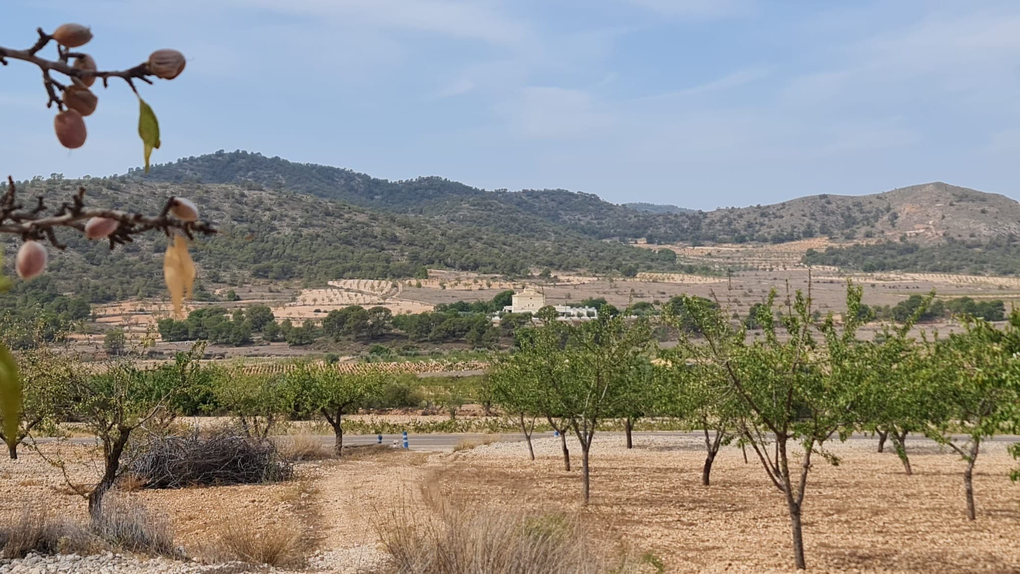 This 7,558m² plot offers a peaceful setting with beautiful views of Algueña and the surrounding mountains. Located within walking distance to town, it combines convenience with a natural atmosphere. The property includes almond trees and is easily accessible by a well-maintained road.This plot provides an excellent opportunity for development in a desirable location. Take advantage of this chance to create your ideal space in a scenic and accessible area.If you liked this property, do not hesitate to contact us to organize a visit, we will be happy to help you!