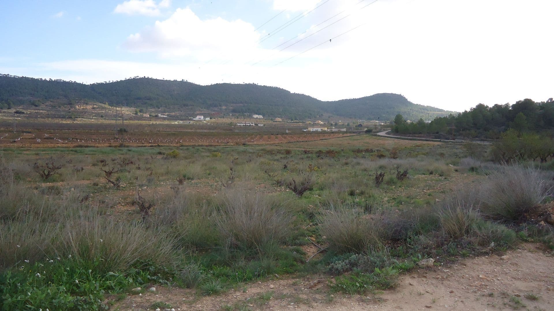 6,374m² Plot with Irrigation Water in Pinoso, AlicanteLocated in a natural setting and just a few minutes from the charming village of Pinoso, this rustic plot of 6,374m² offers an ideal opportunity for agricultural projects or to enjoy a private space in the middle of nature. The property has irrigation water and is located next to a paved road, ensuring easy access throughout the year. Surrounded by peaceful landscapes and the characteristic Mediterranean climate, this plot is perfect for those looking for a rural setting with easy connection to main roads.We have a large portfolio of properties in the Costa Blanca and Costa Calida areas, specialising in country properties, villas, fincas, building plots and design and build options in the Alicante and Murcia regions with a particular emphasis on Elda, Monovar, Pinoso, Sax, Villena, Aspe, Fortuna, Albacete and many more surrounding areas. We have been established since 2004 and have decades of experience between the team which we bring to bear to help you find and secure your new dream home. We help you every step of the way to make sure your purchase in Spain is safe and hassle free. We are not here to sell you a property, we are here to help you realise your dream and find what is right for you. With us you are in the safest hands. Contact us now to have a no obligation chat about how you too can realise your dreams.
