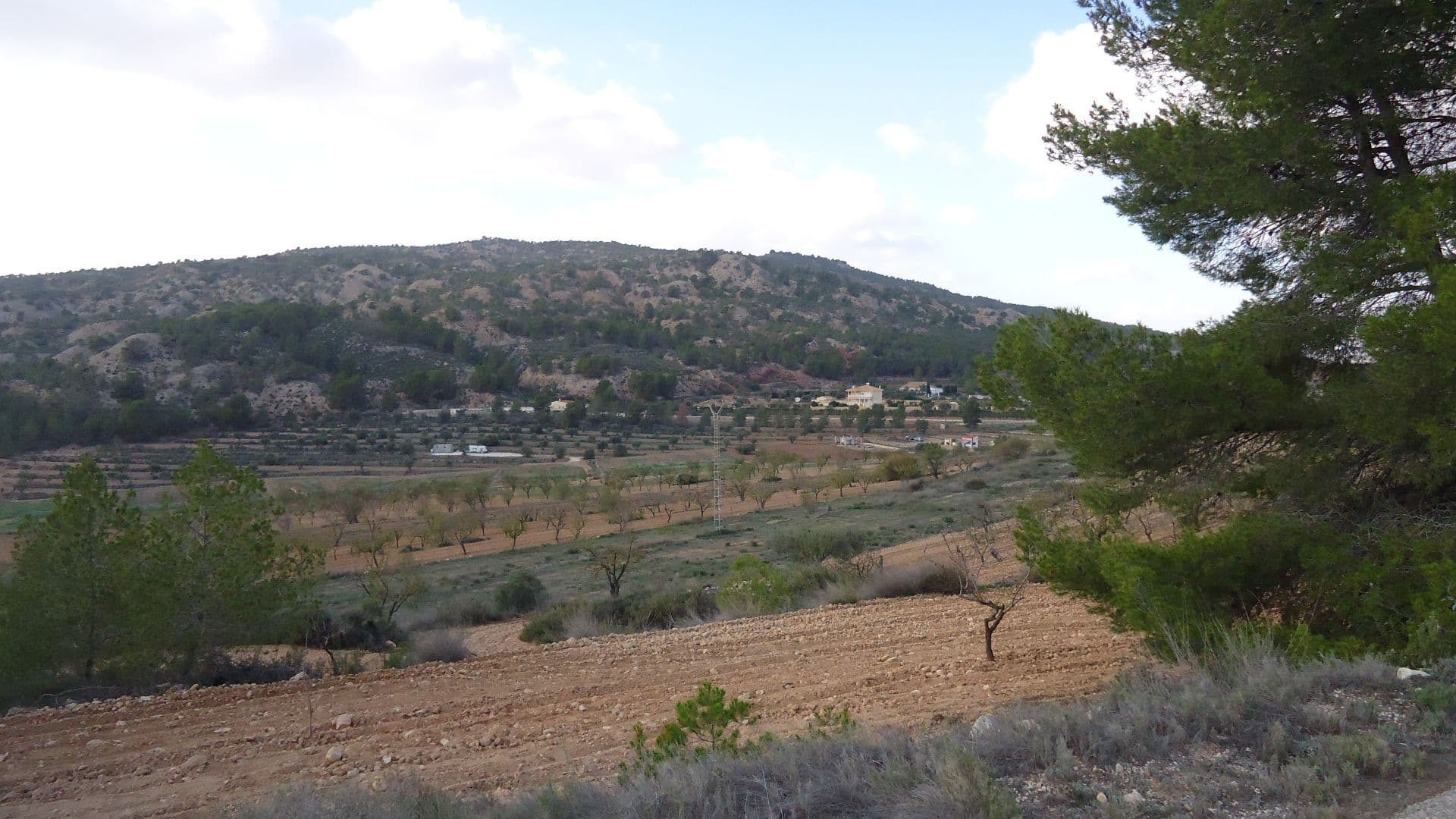 Rustic Plot of 14,778 m² with Mountain Views in Pinoso, AlicanteDiscover this rustic plot of 14,778 m² in Pinoso, Alicante, an ideal space for those looking for a refuge in the middle of nature. With no water or electricity connections, this property offers the perfect opportunity to settle in a rural and peaceful environment, surrounded by the natural beauty of the region. With spectacular mountain views, this land is perfect for placing a caravan or mobile home and enjoying the peace and privacy offered by the Alicante landscape.We have a large portfolio of properties in the Costa Blanca and Costa Calida areas, specialising in country properties, villas, fincas, building plots and design and build options in the Alicante and Murcia regions with a particular emphasis on Elda, Monovar, Pinoso, Sax, Villena, Aspe, Fortuna, Albacete and many more surrounding areas. We have been established since 2004 and have decades of experience between the team which we bring to bear to help you find and secure your new dream home. We help you every step of the way to make sure your purchase in Spain is safe and hassle free. We are not here to sell you a property, we are here to help you realise your dream and find what is right for you. With us you are in the safest hands. Contact us now to have a no obligation chat about how you too can realise your dreams.