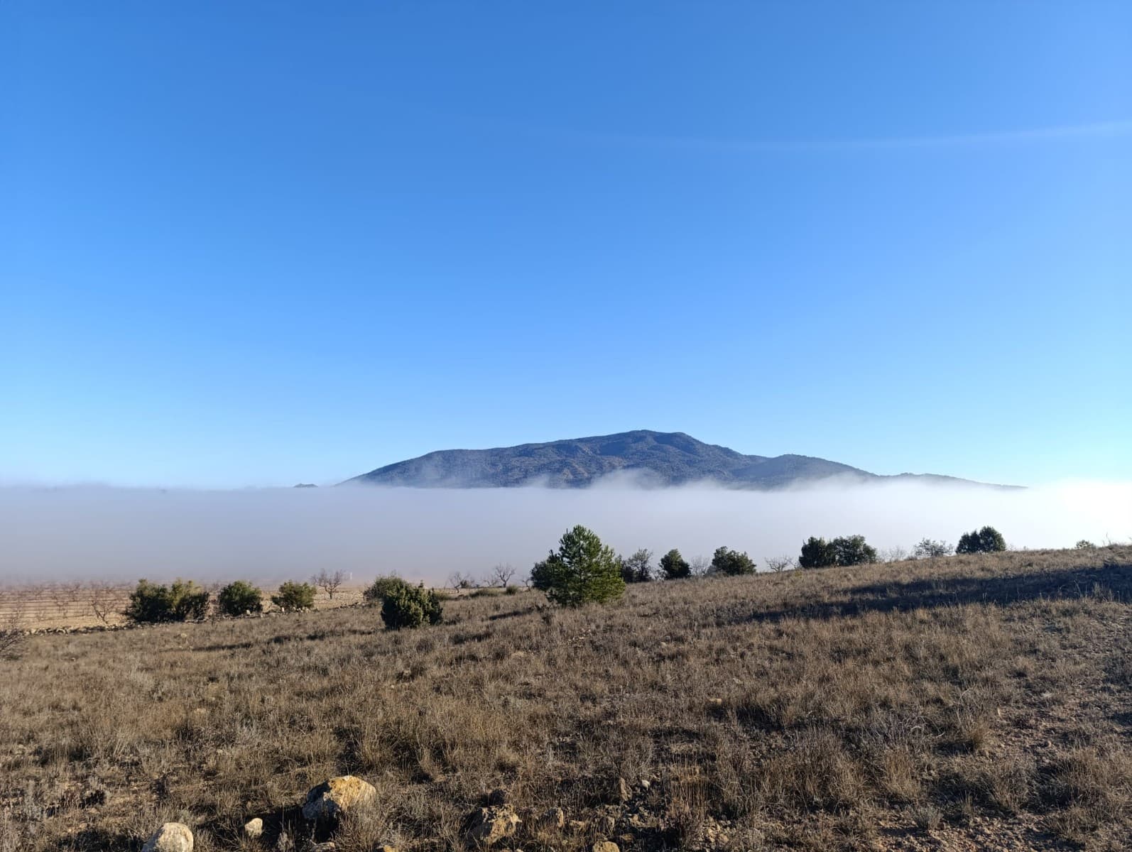 This expansive 9,197m² plot is located in the stunning La Sierra del Carche area, offering breathtaking views of the surrounding landscape. With its size and location, this land provides a range of opportunities, whether you're looking to set up a mobile home or use it for agricultural purposes.The property benefits from good access, making it easy to reach and practical for various uses. Its peaceful setting and natural beauty make it an ideal choice for those seeking tranquility while still staying connected to nearby amenities.This land is a great investment for those looking to create a unique retreat or work on a project in a serene and picturesque environment. Contact us to learn more or to arrange a visit.If you liked this property, do not hesitate to contact us to organize a visit, we will be happy to help you!