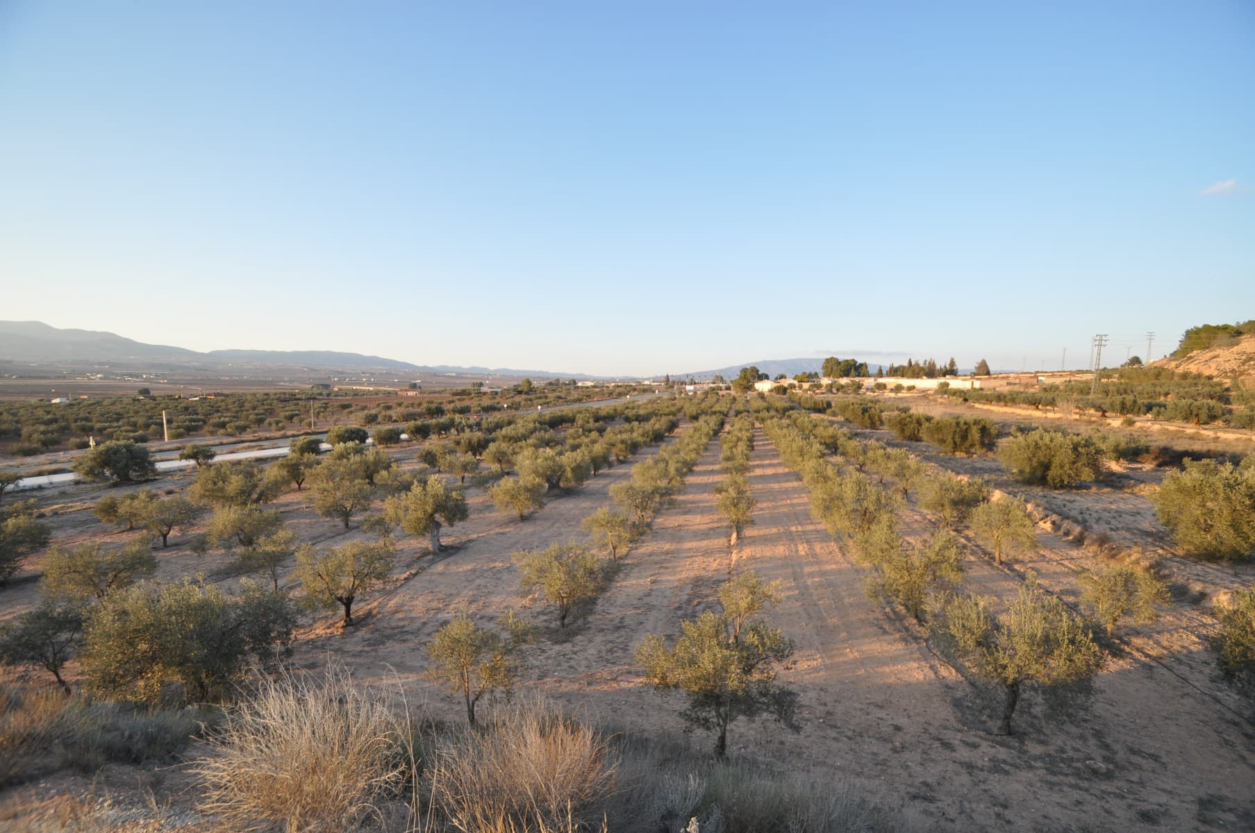 This 13,020m² plot is in a fantastic location, close to town and right next to the mountain, offering both convenience and natural beauty.Please note: The land is being sold without the olive trees.However, if you're interested in including the approximately 300 olive trees, the total price would be €75,000.A small building on the property provides storage or potential for other uses. With its excellent location and versatile land, this is a great opportunity whether you're looking to farm or simply enjoy a peaceful rural setting.If you're interested in this property, don't hesitate to contact us to arrange a visit — we'll be happy to assist you!
